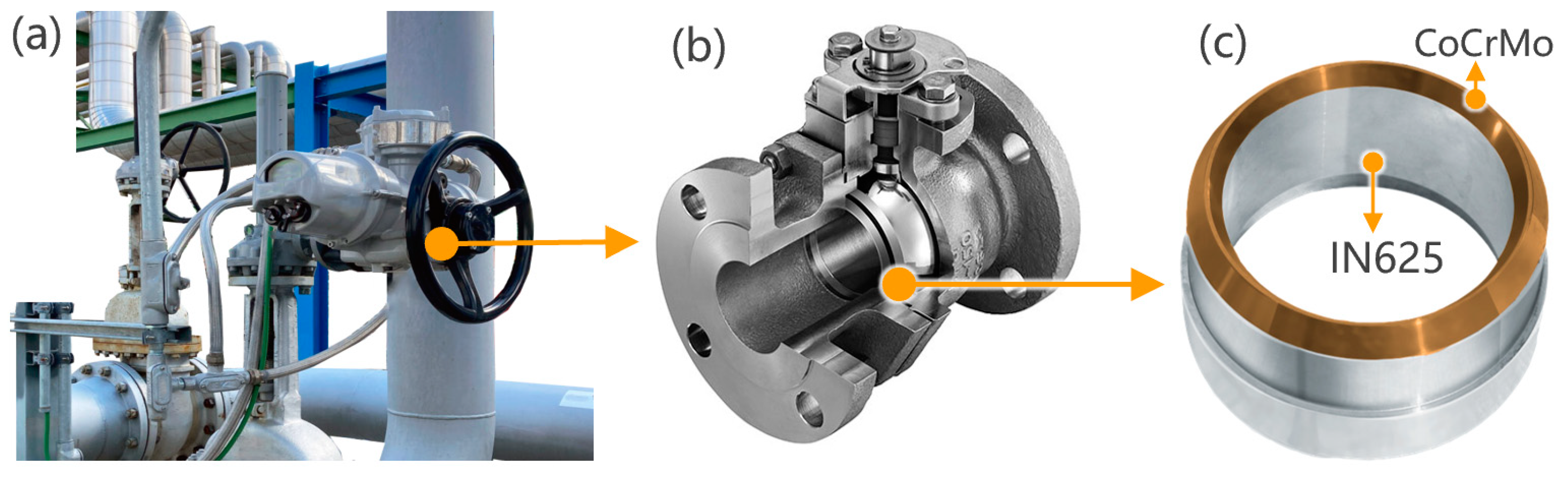 Materials 16 06456 g001