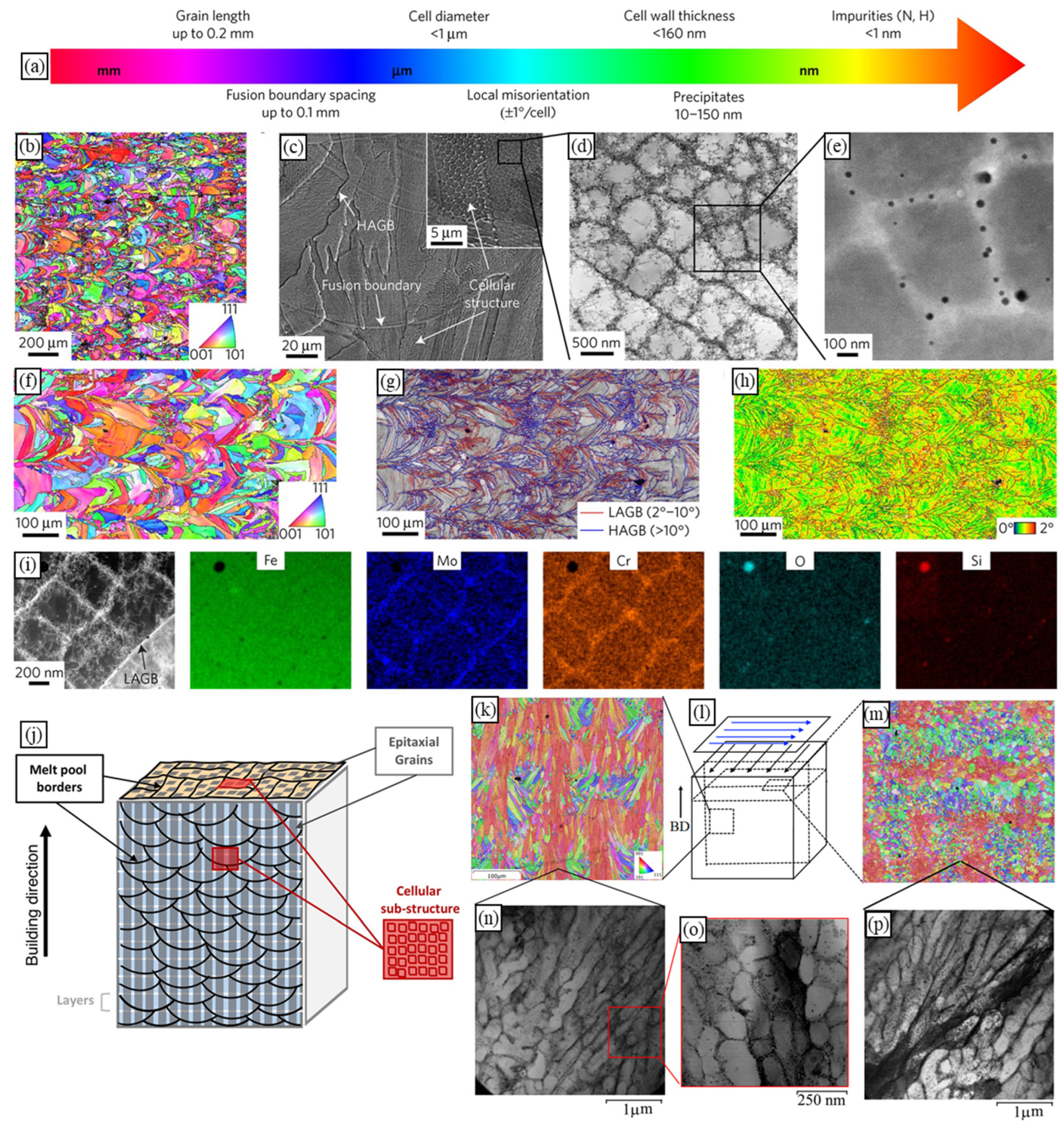 Materials 16 06459 g001 Materials 16 06459 g001