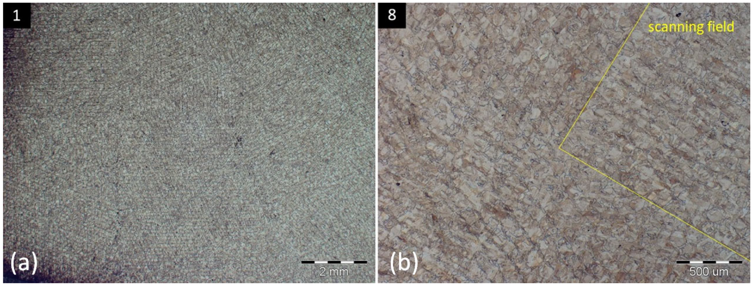 Materials 16 06461 g005