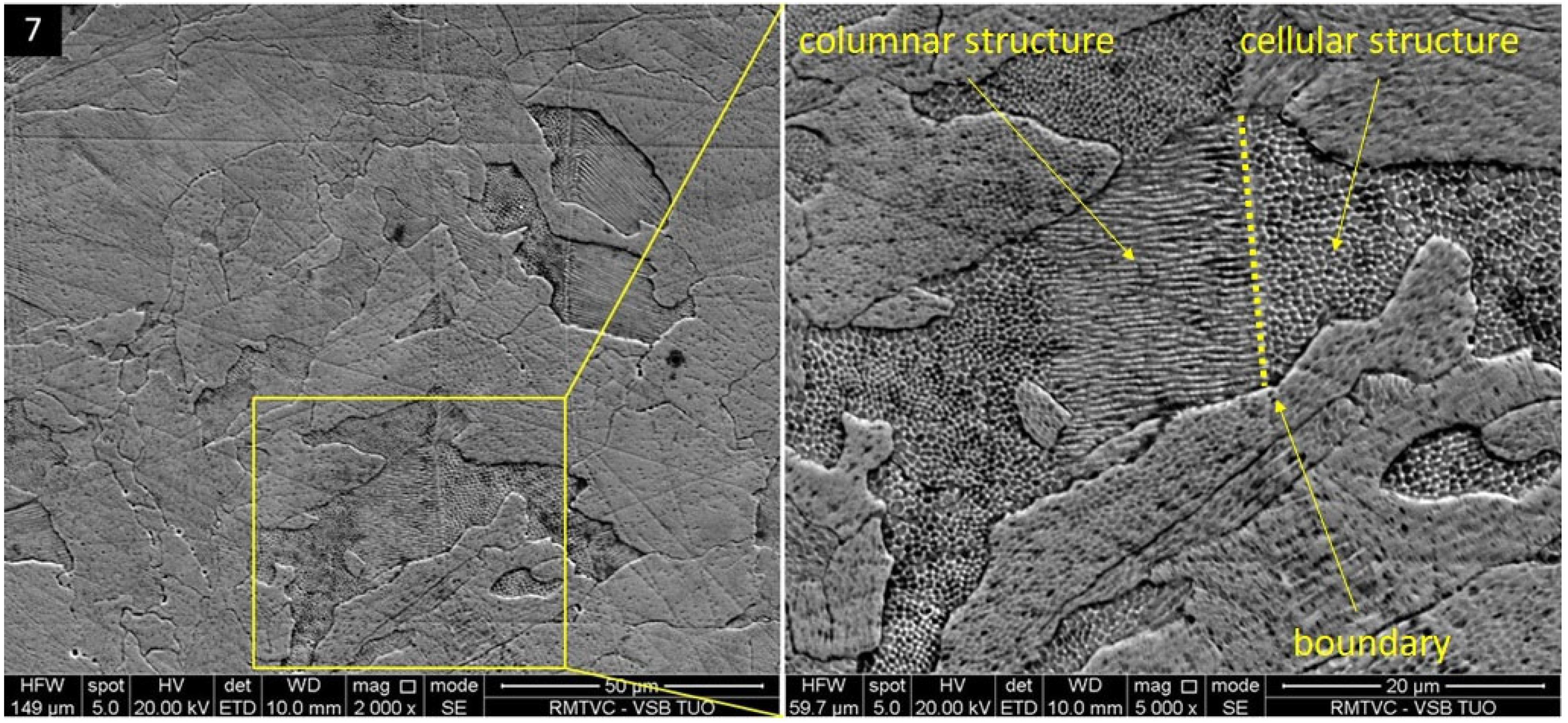 Materials 16 06461 g007