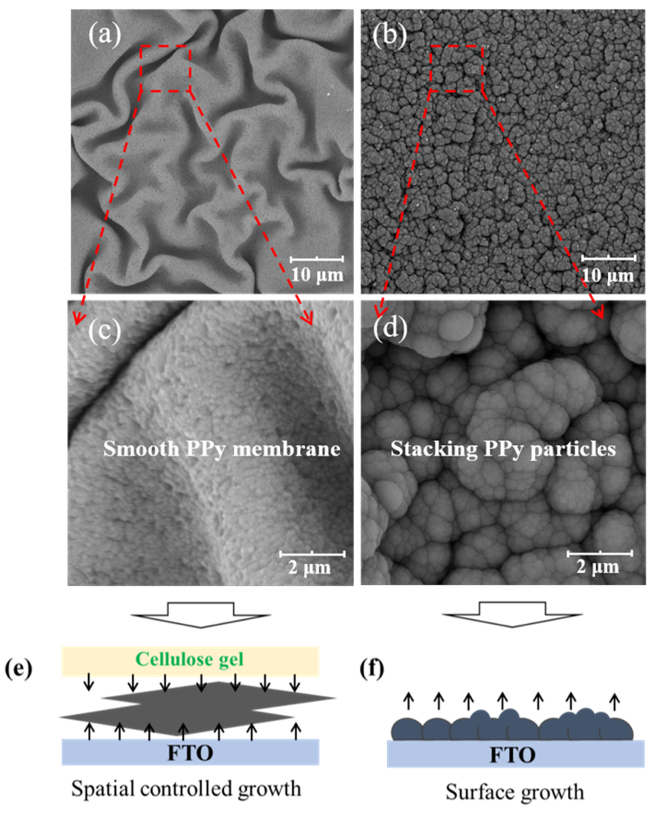 Materials 16 06476 g001