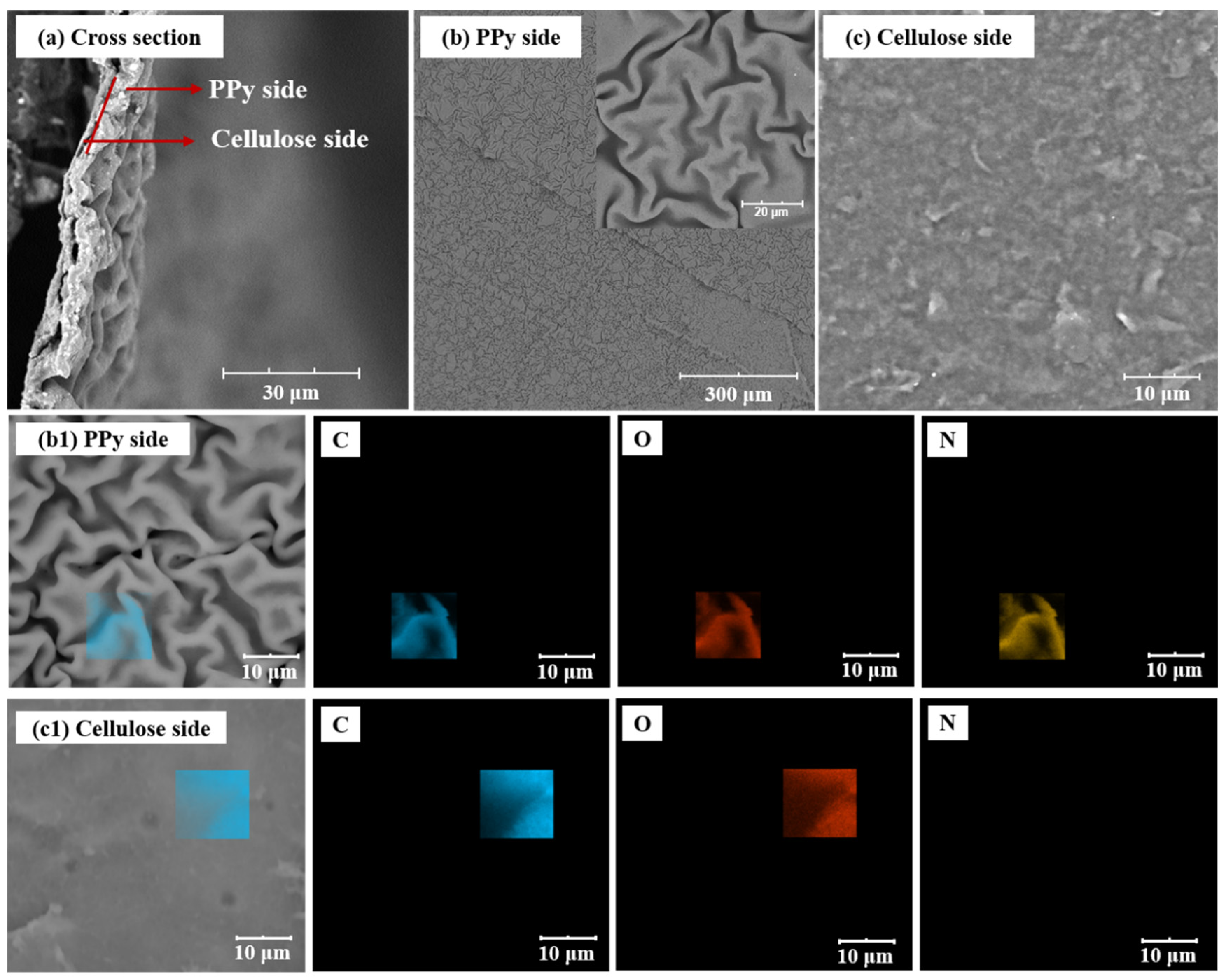 Materials 16 06476 g003