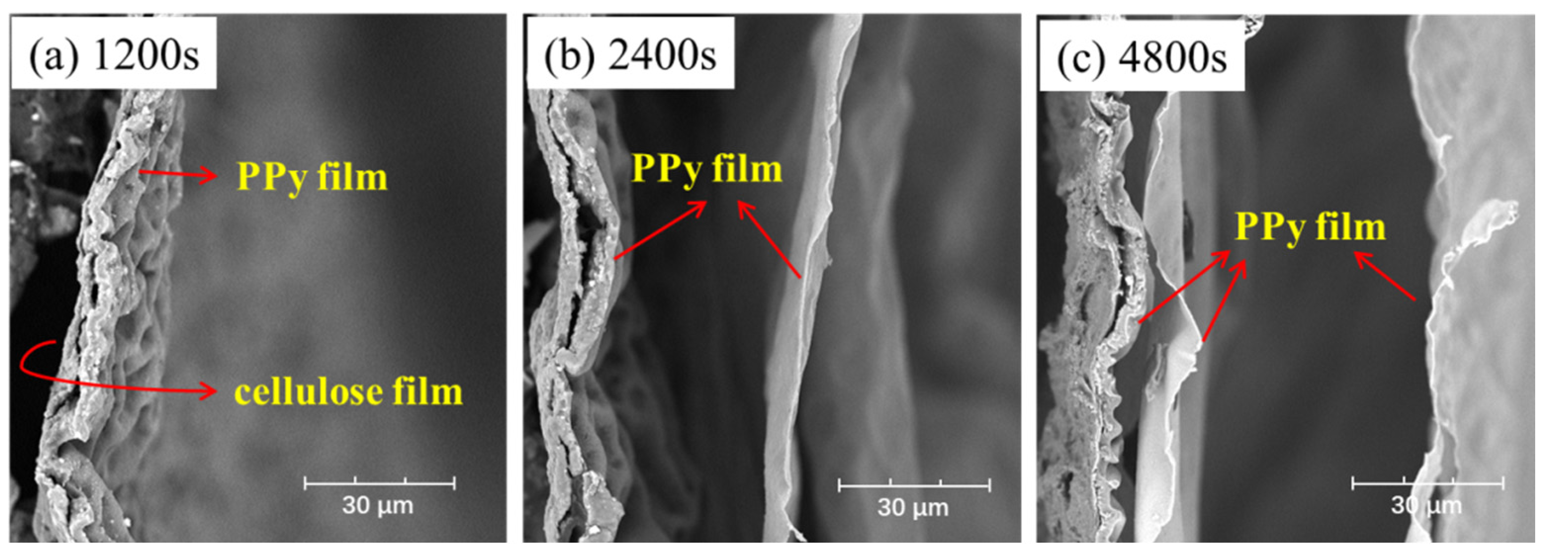 Materials 16 06476 g004