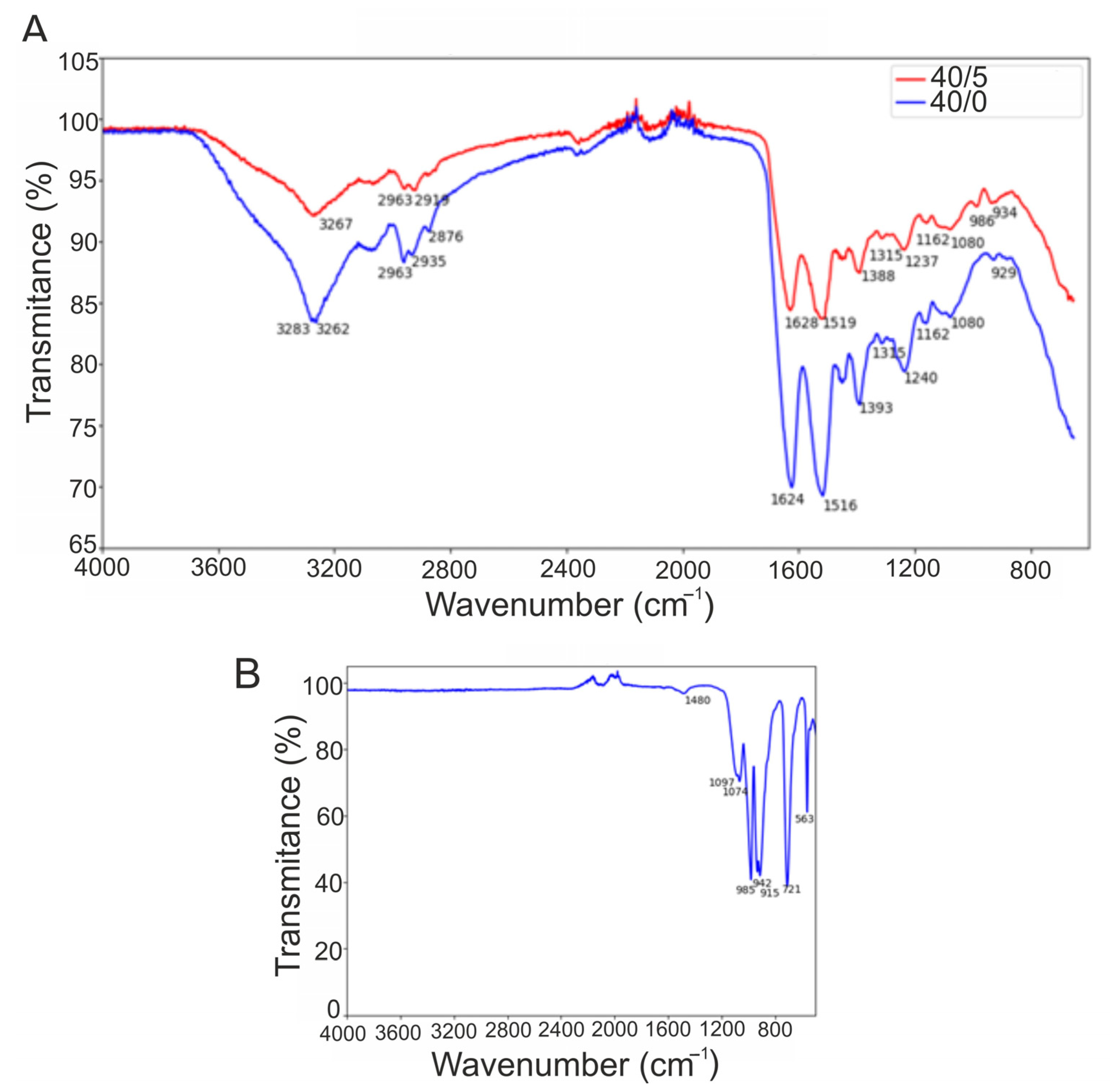 Materials 16 06484 g004