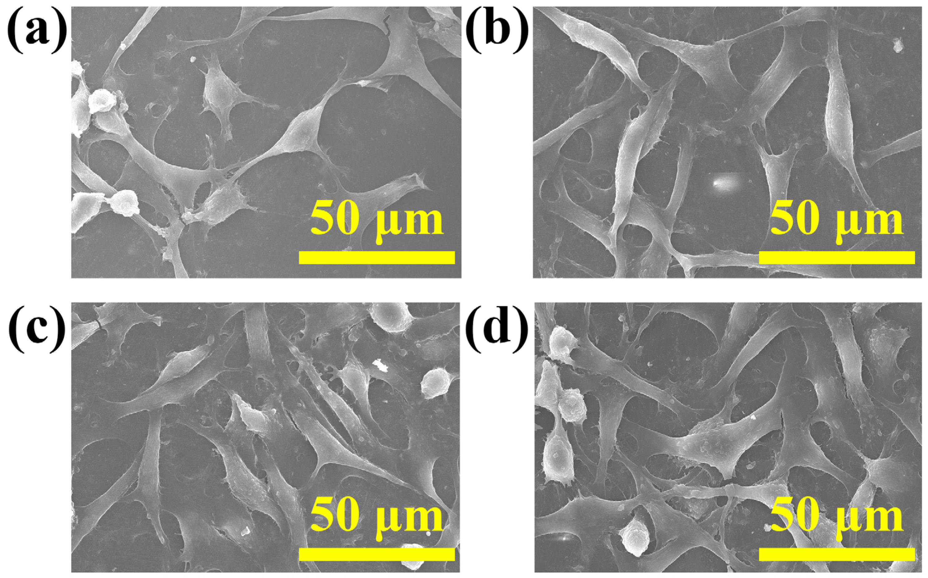 Materials 16 06497 g012 Materials 16 06497 g012