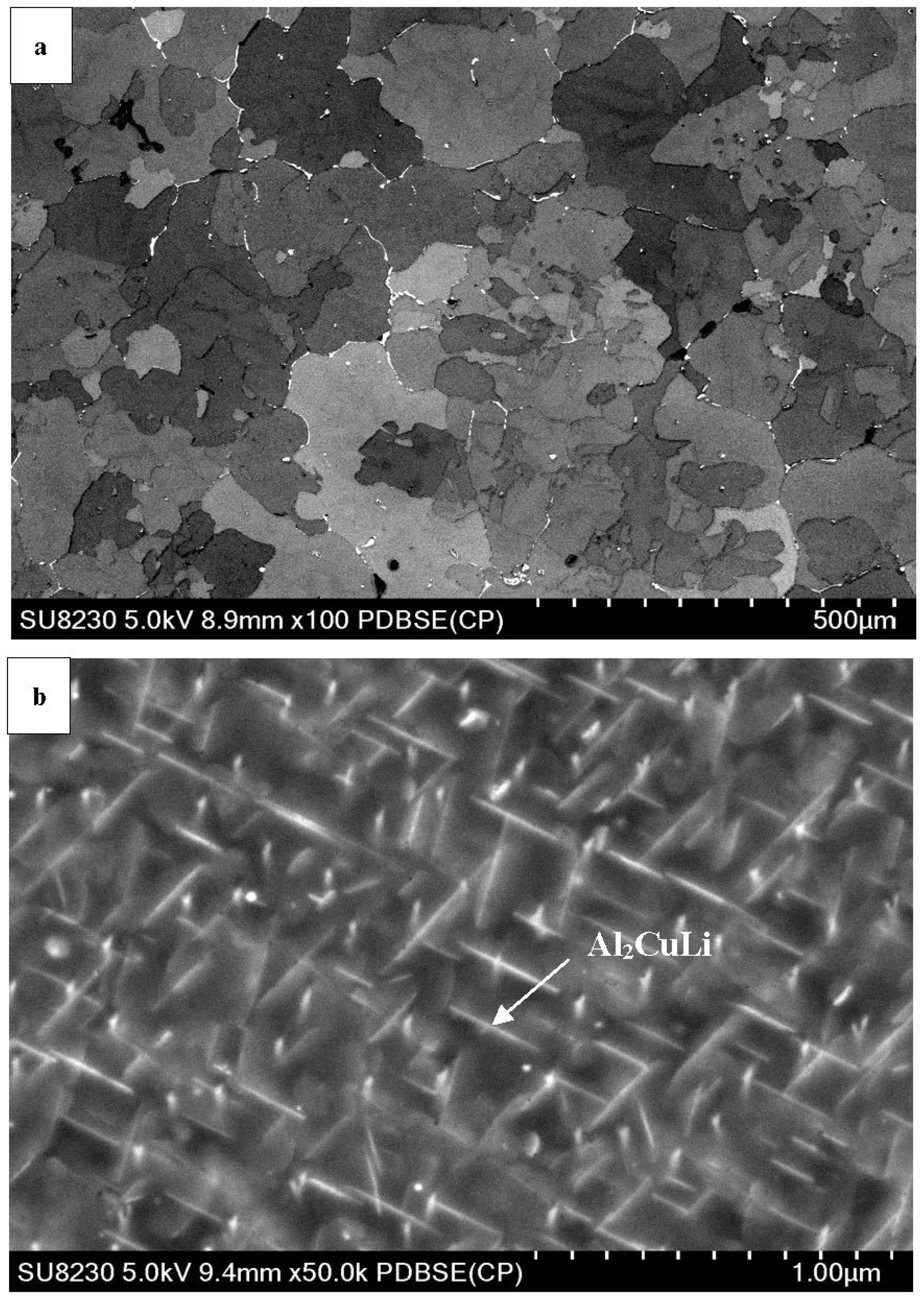 Materials 16 06502 g004