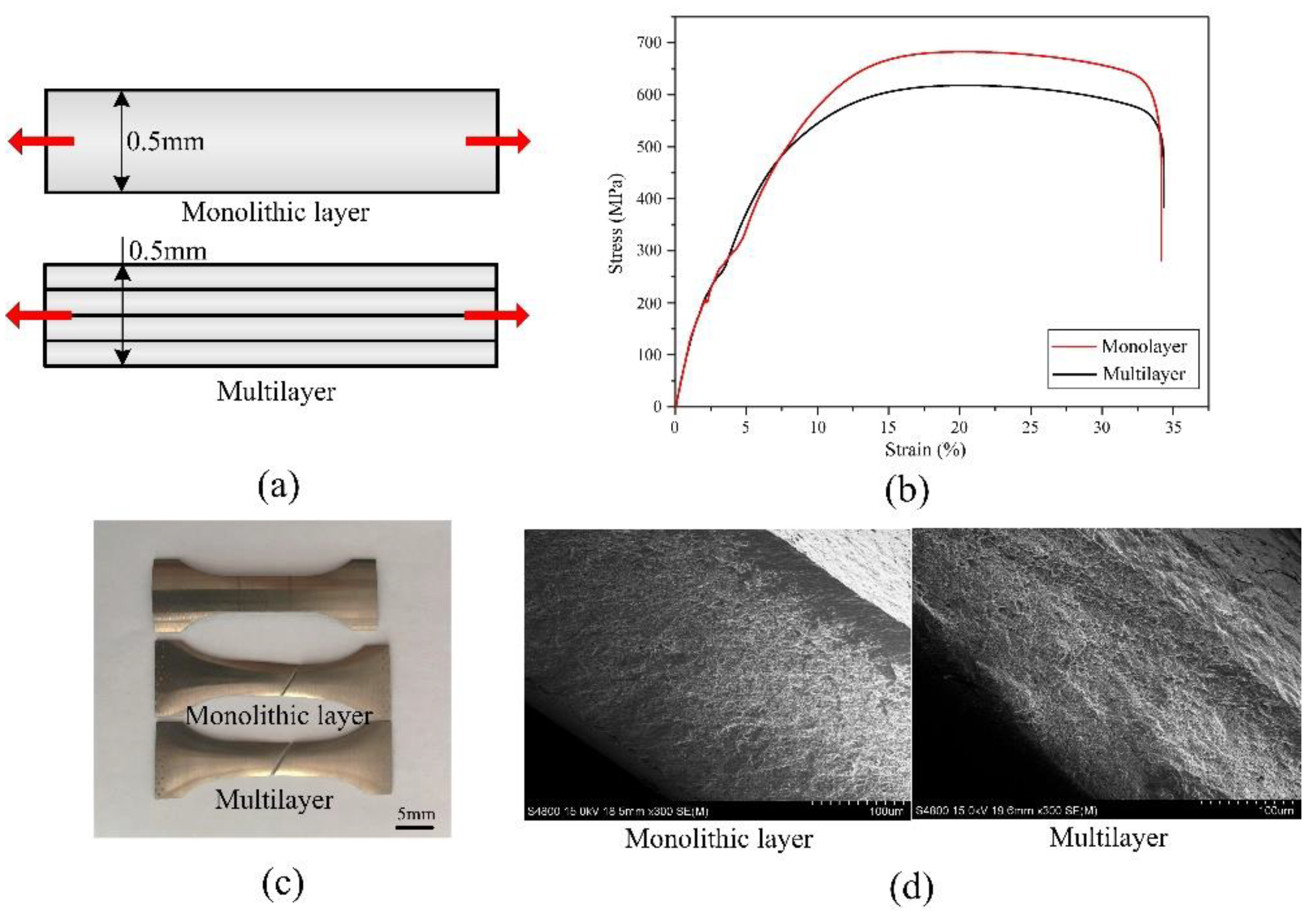 Materials 16 06504 g013