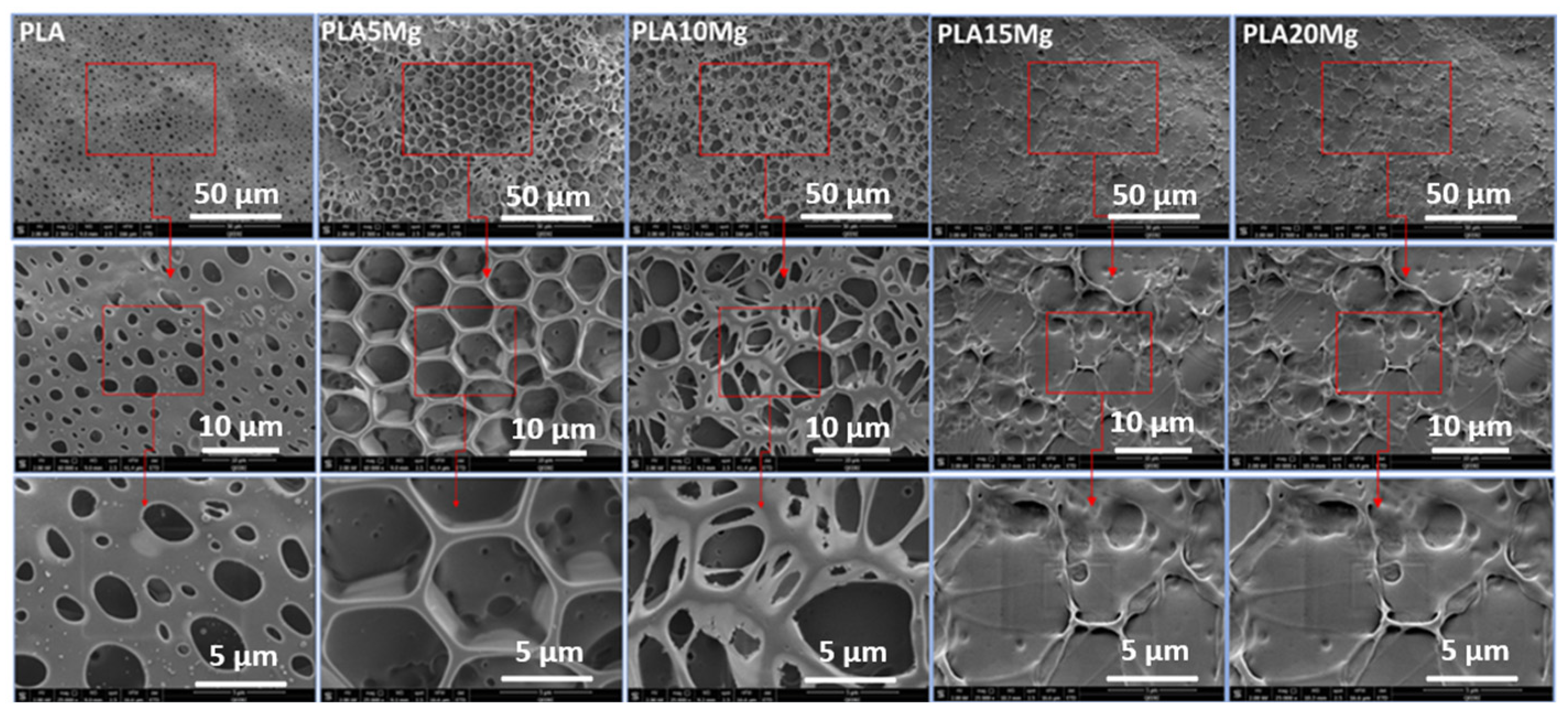 Materials 16 06506 g005