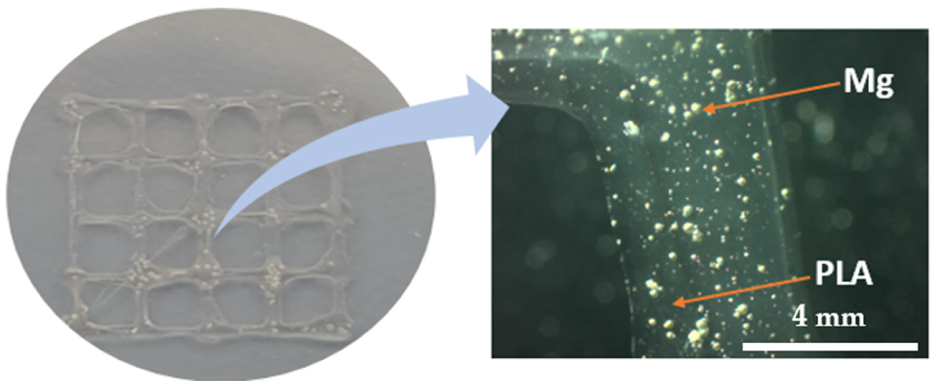 Materials 16 06506 g008