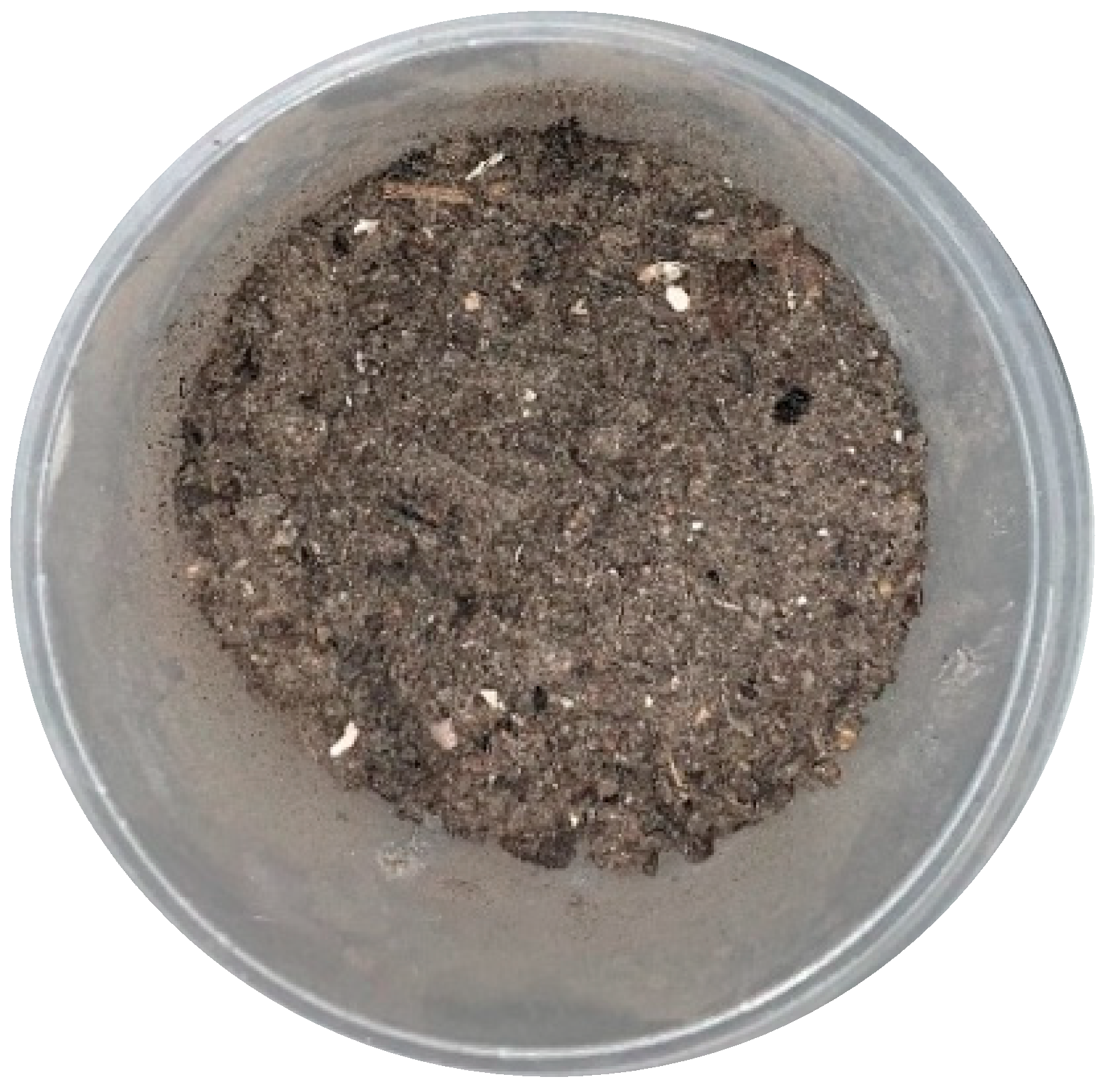 Materials 16 06519 g001