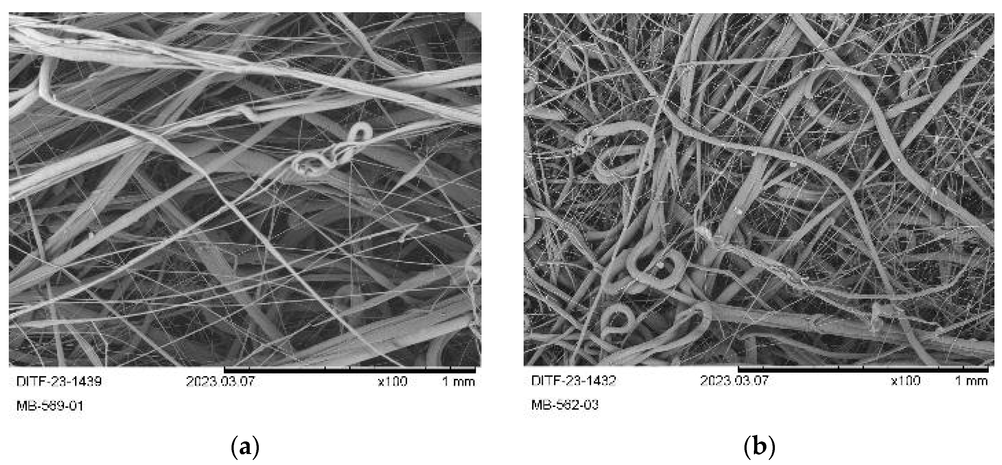 Materials 16 06525 g008 Materials 16 06525 g008