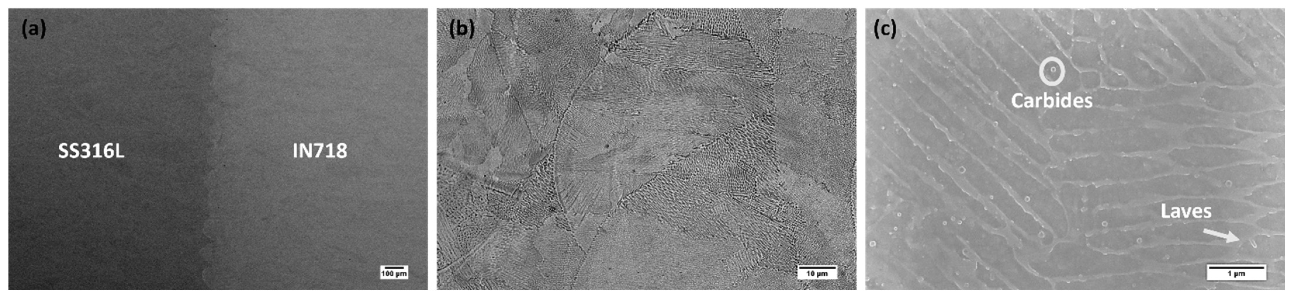 Materials 16 06527 g005 Materials 16 06527 g005