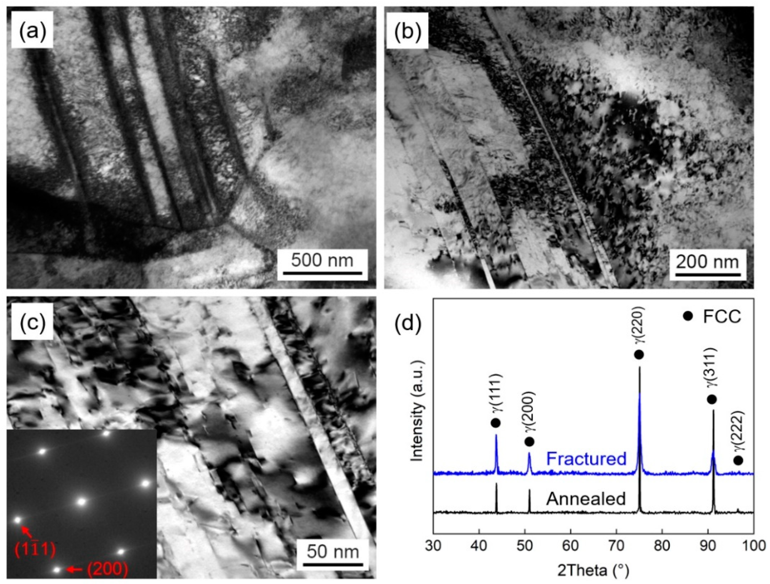 Materials 16 06530 g004