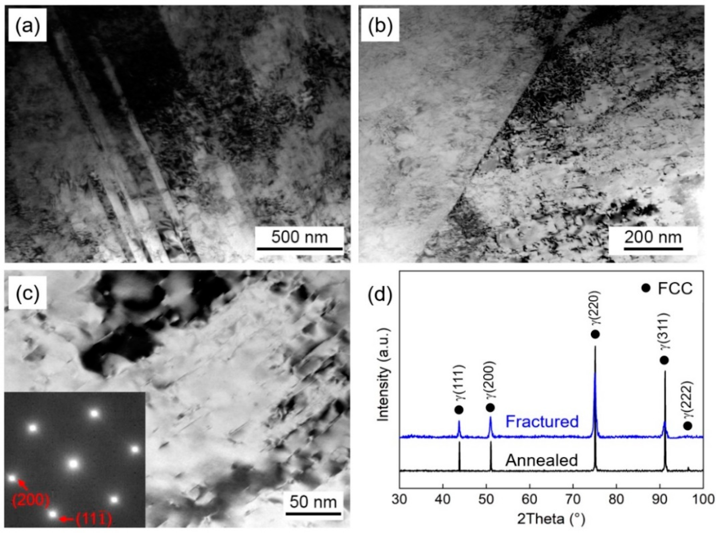 Materials 16 06530 g005