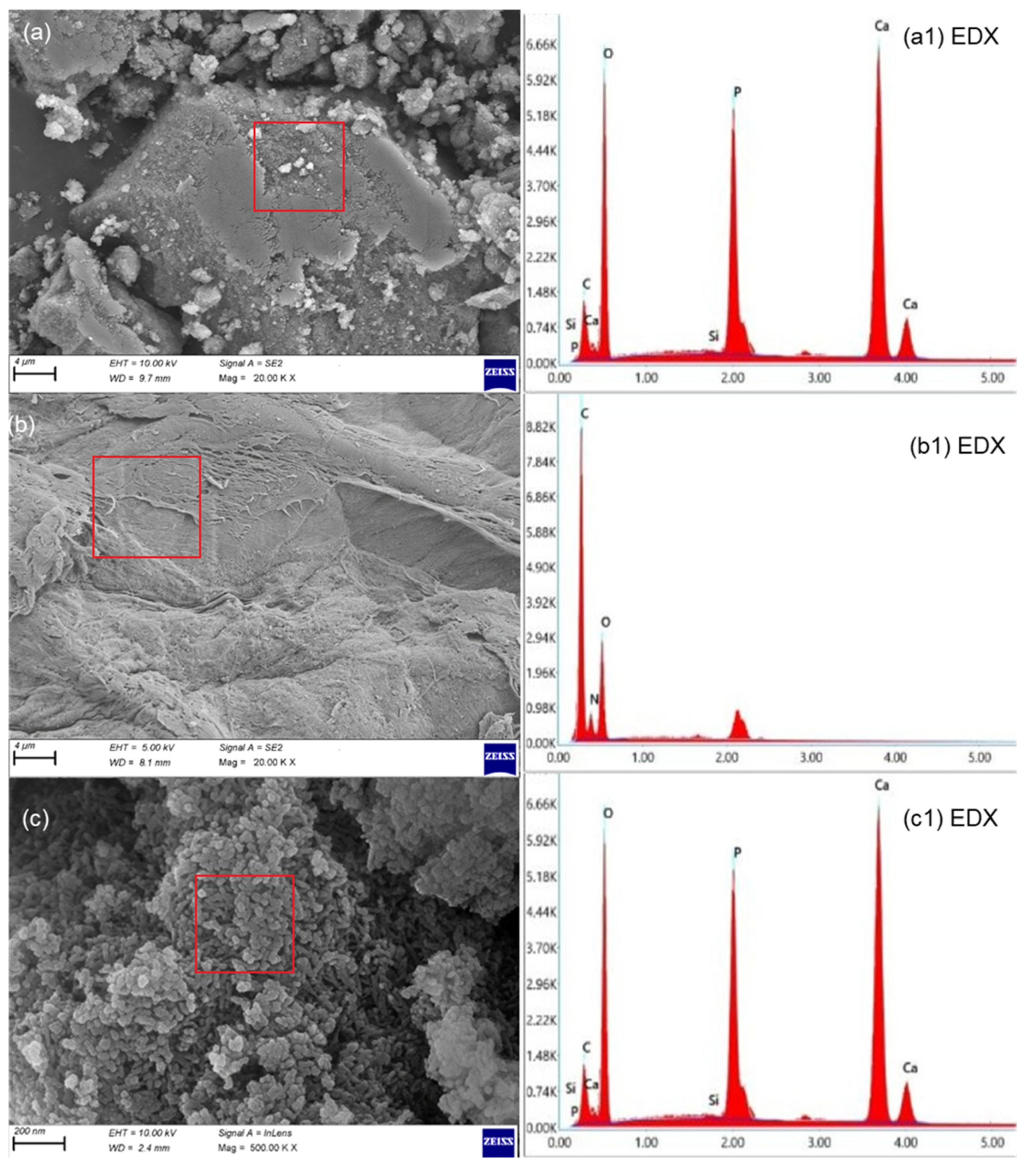 Materials 16 06608 g003 Materials 16 06608 g003