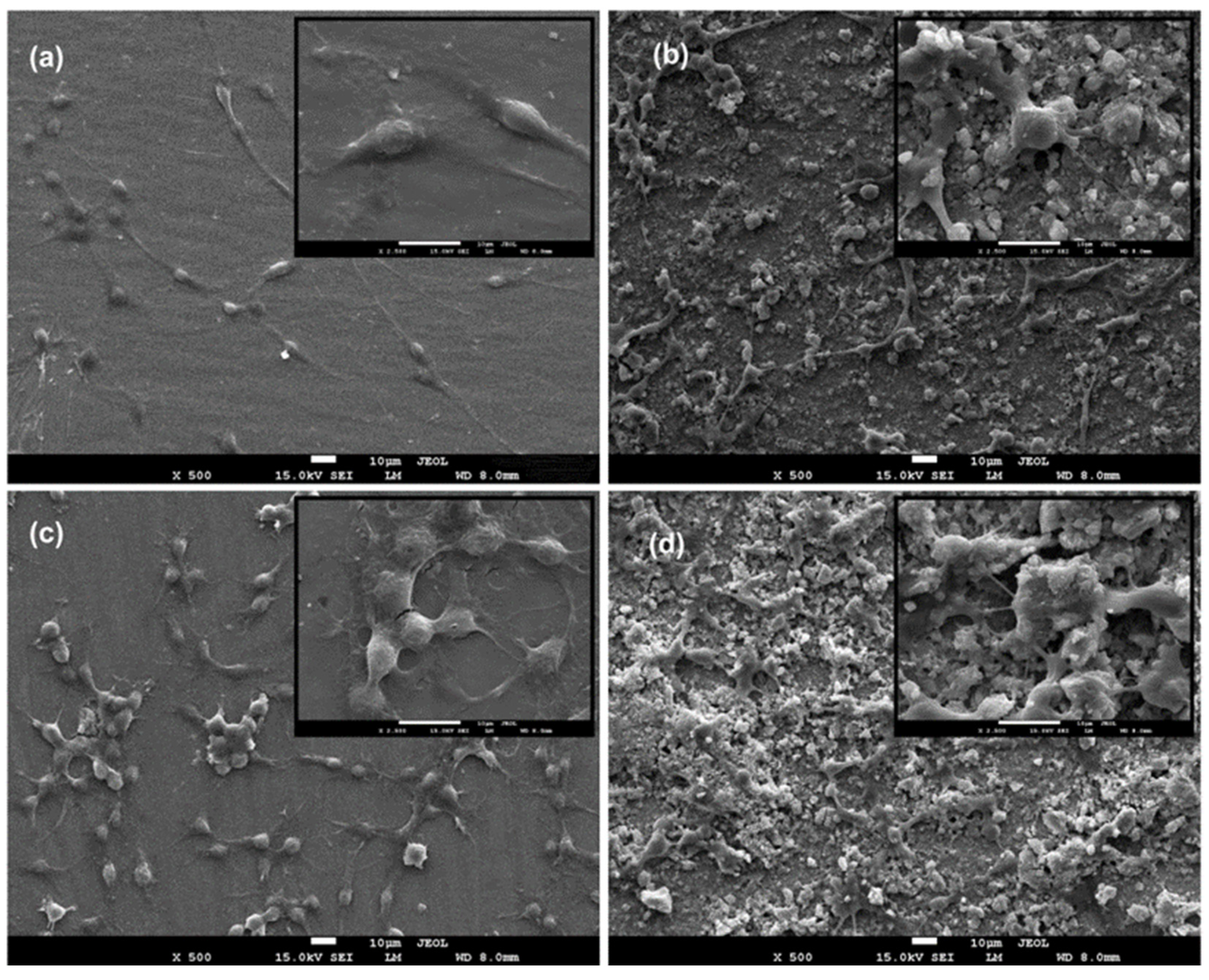 Materials 16 06608 g006 Materials 16 06608 g006