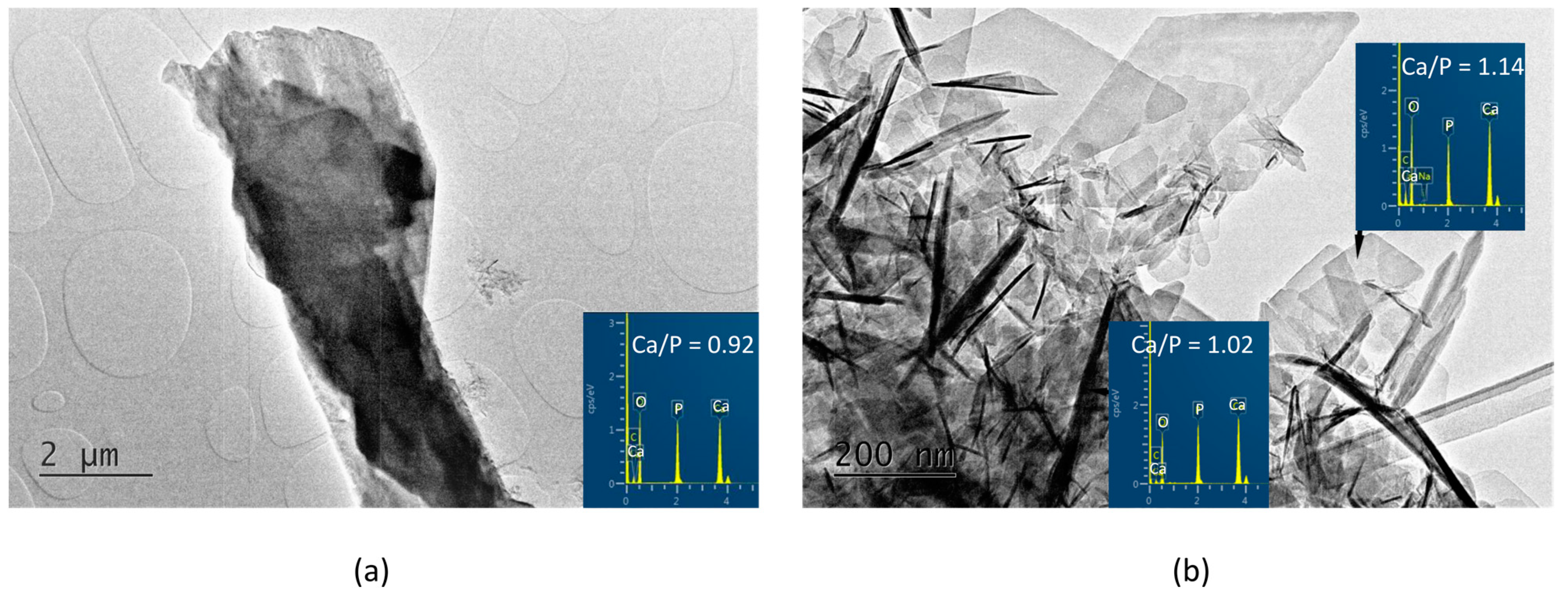 Materials 16 06640 g004