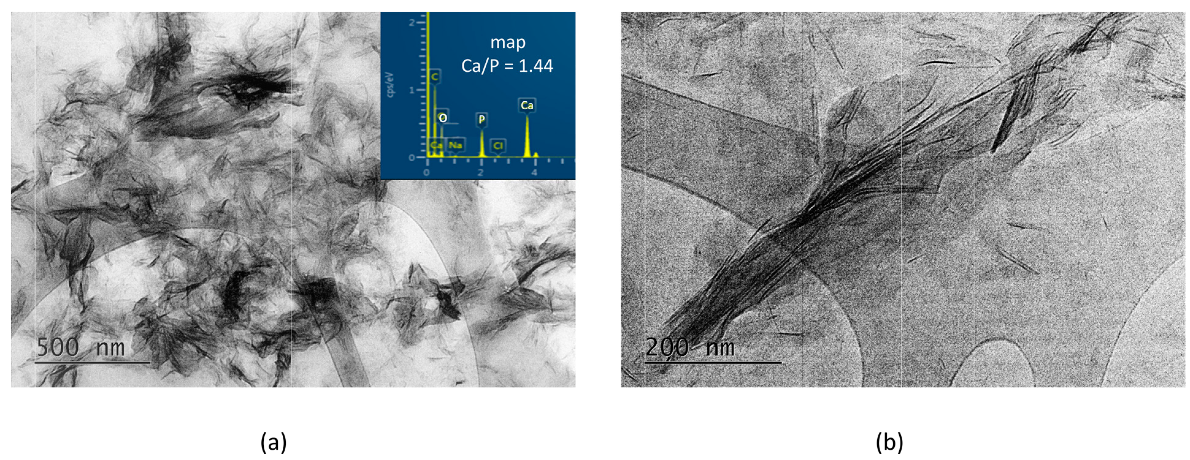 Materials 16 06640 g005