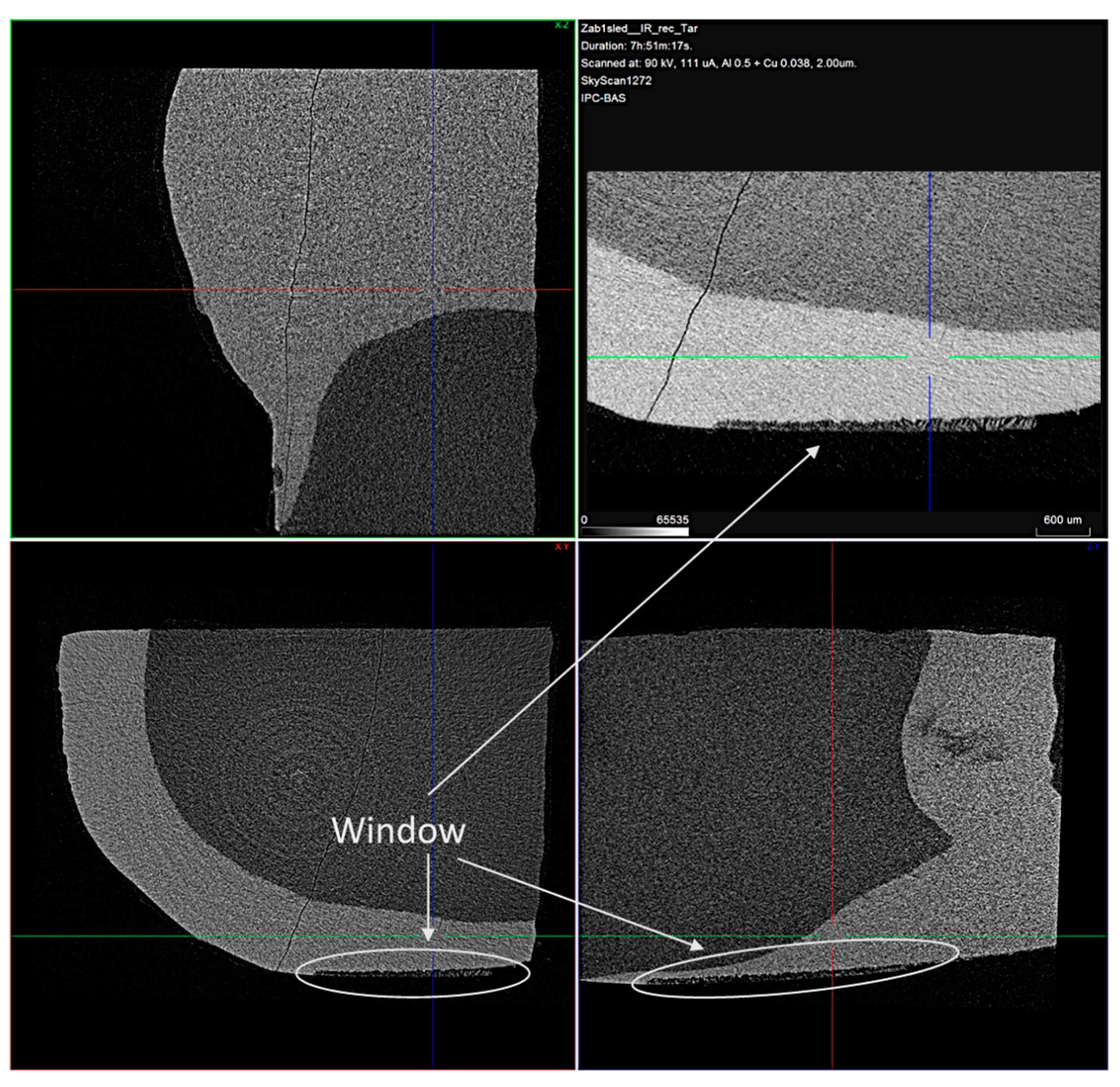 Materials 16 06640 g007