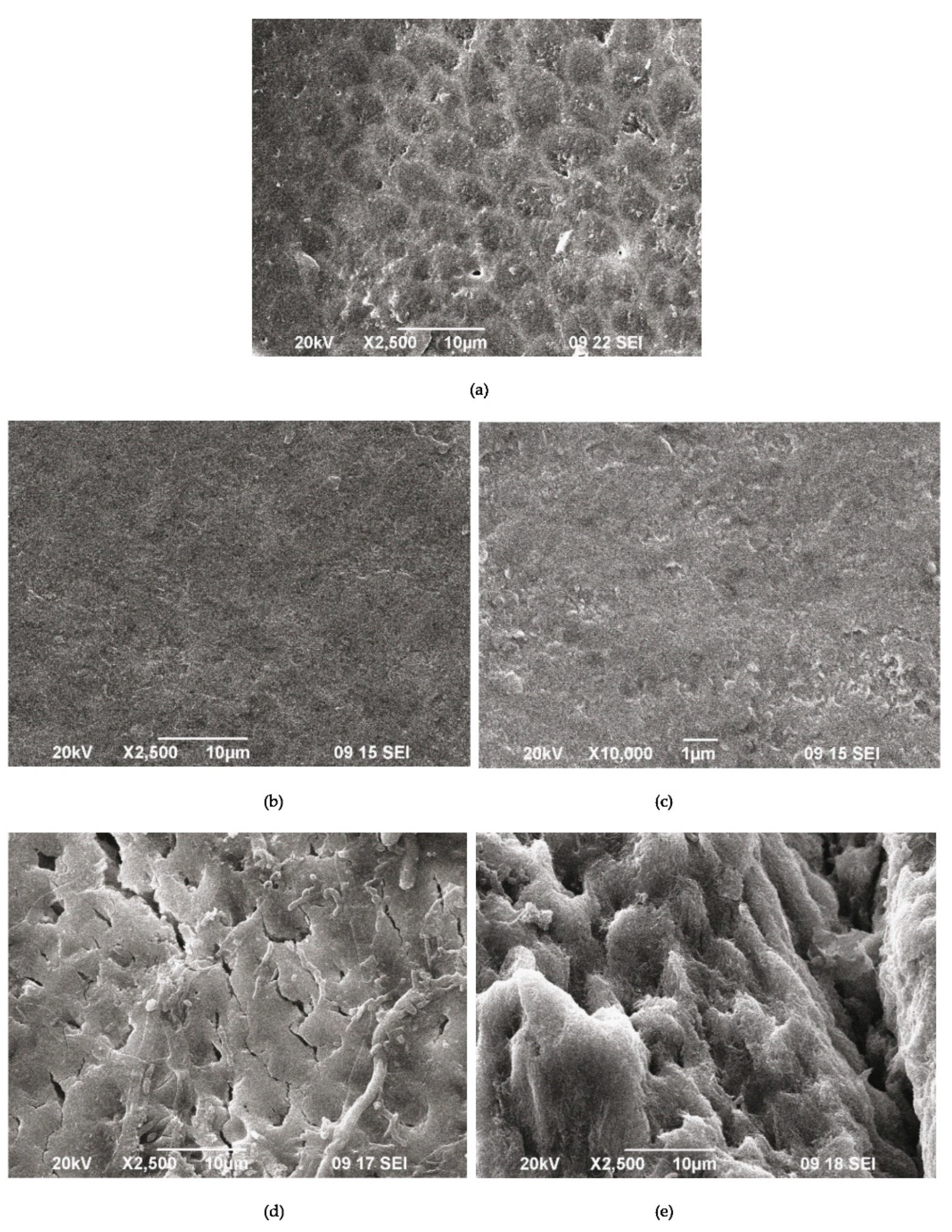 Materials 16 06640 g009