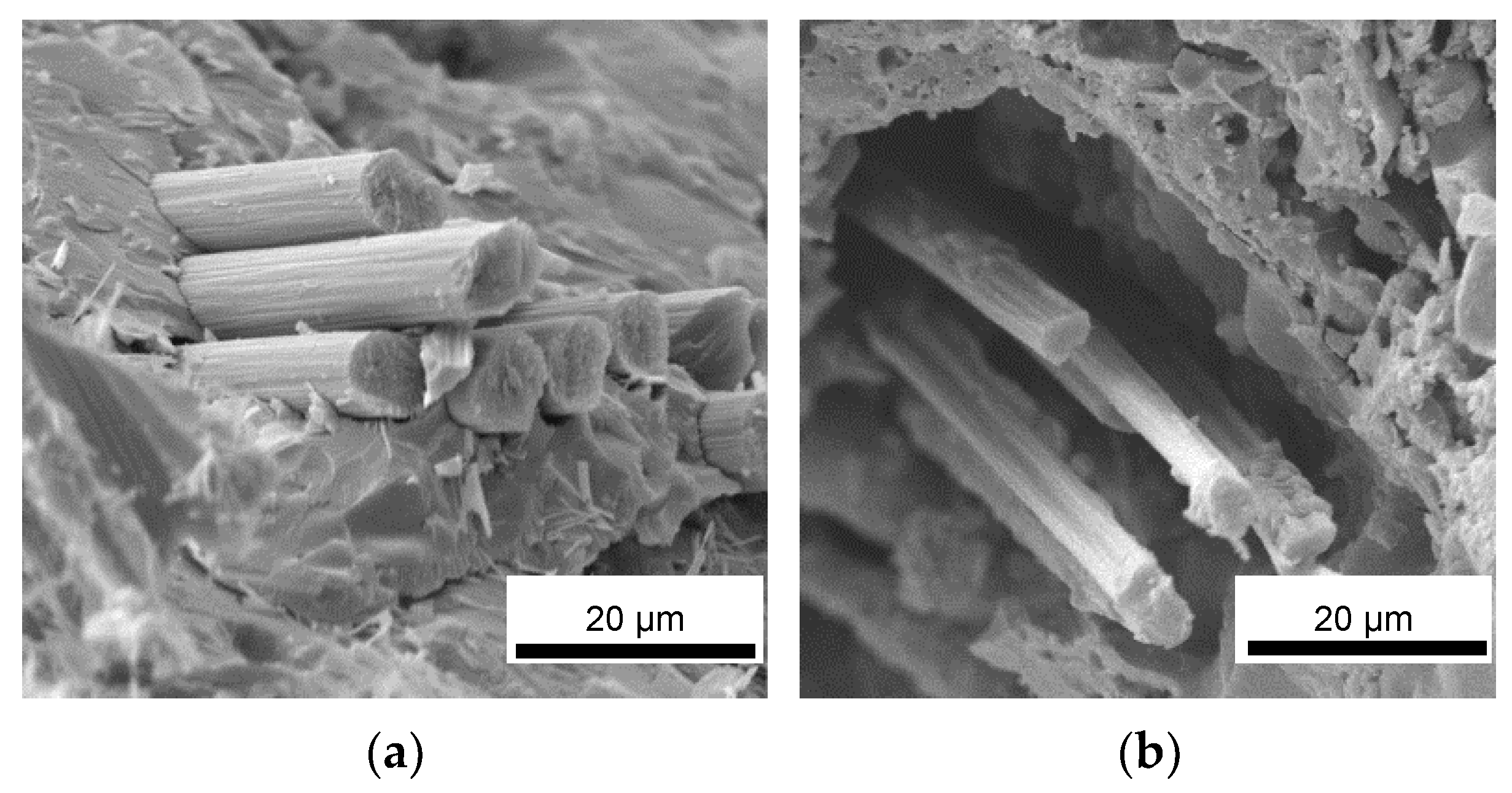 Materials 16 06649 g008