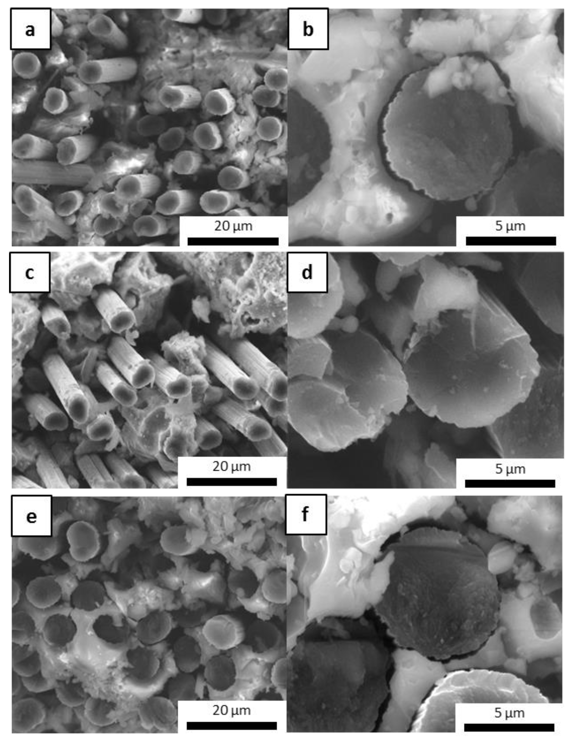 Materials 16 06649 g010