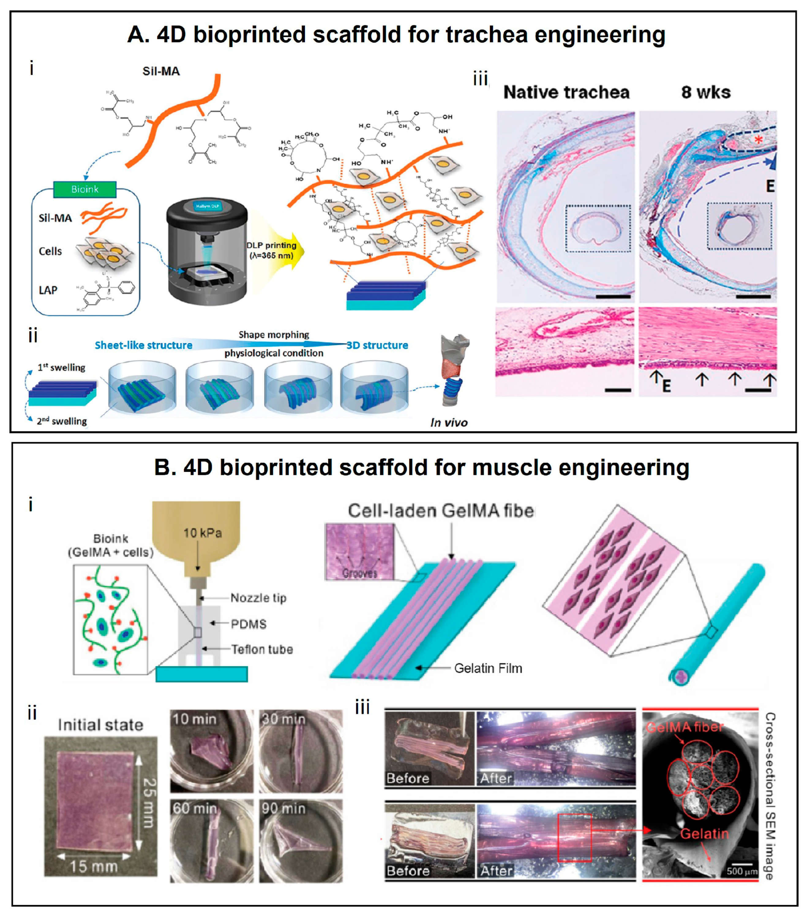 Materials 16 06661 g001