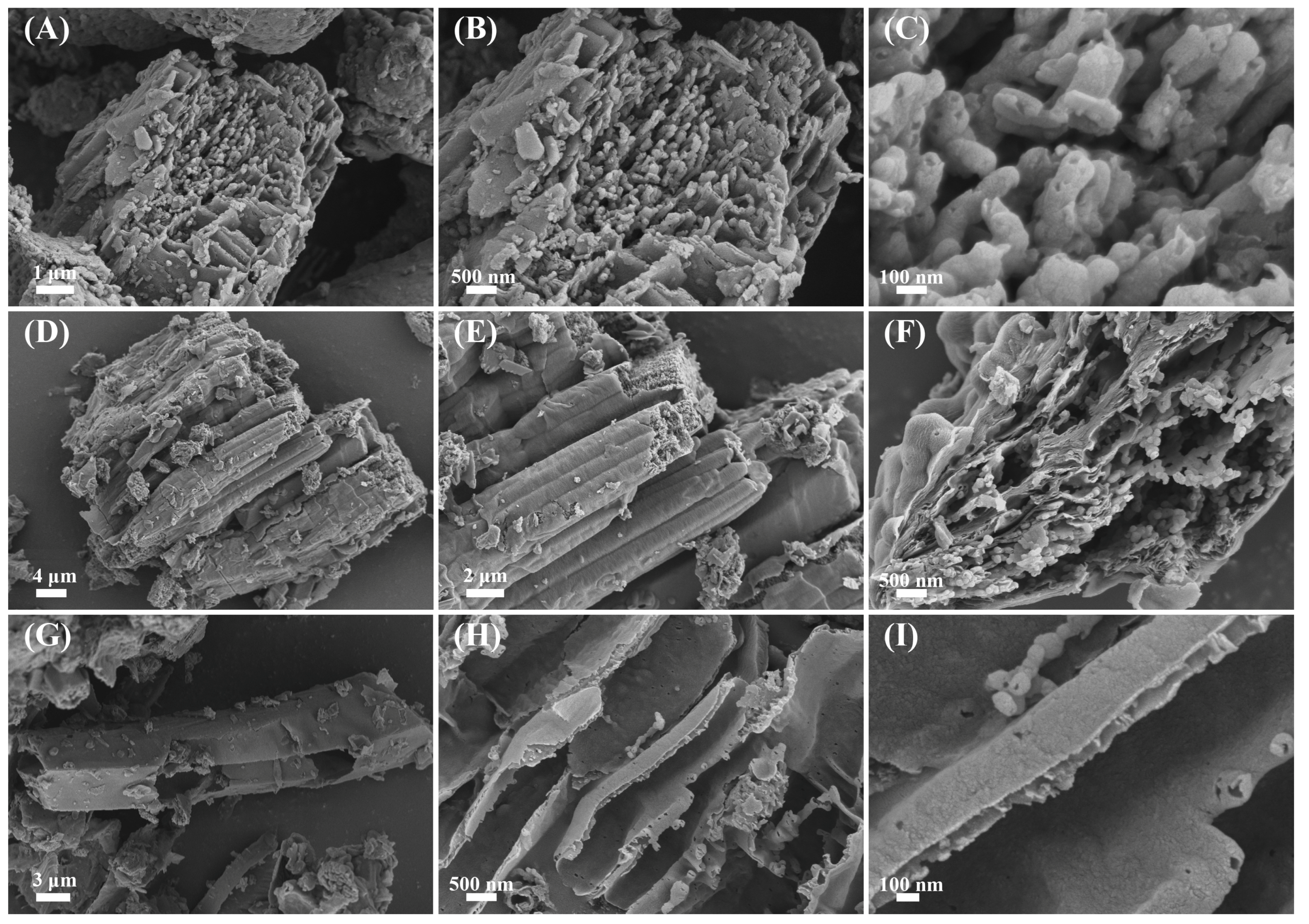 Materials 16 06665 g002