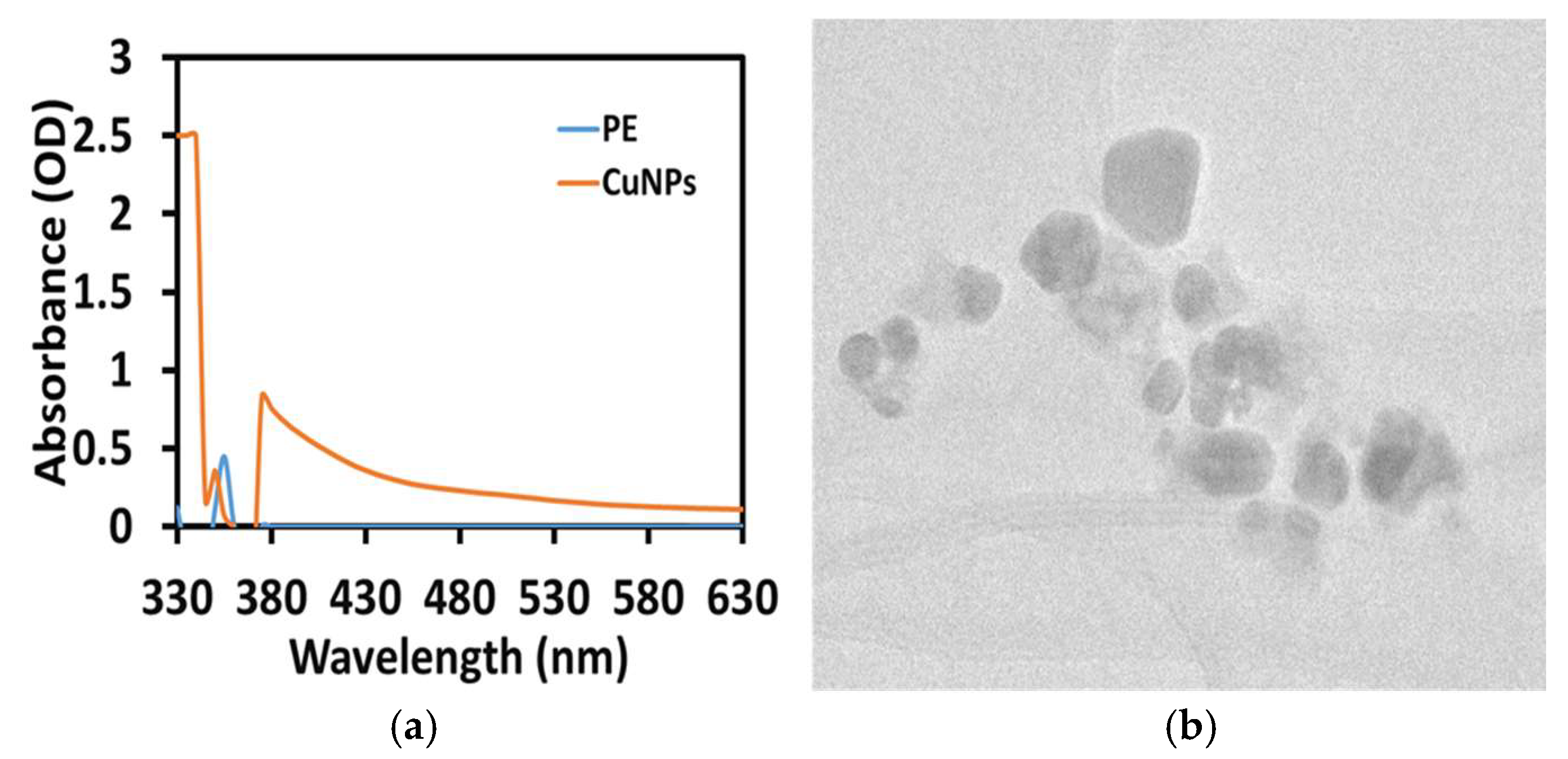 Materials 16 06669 g001