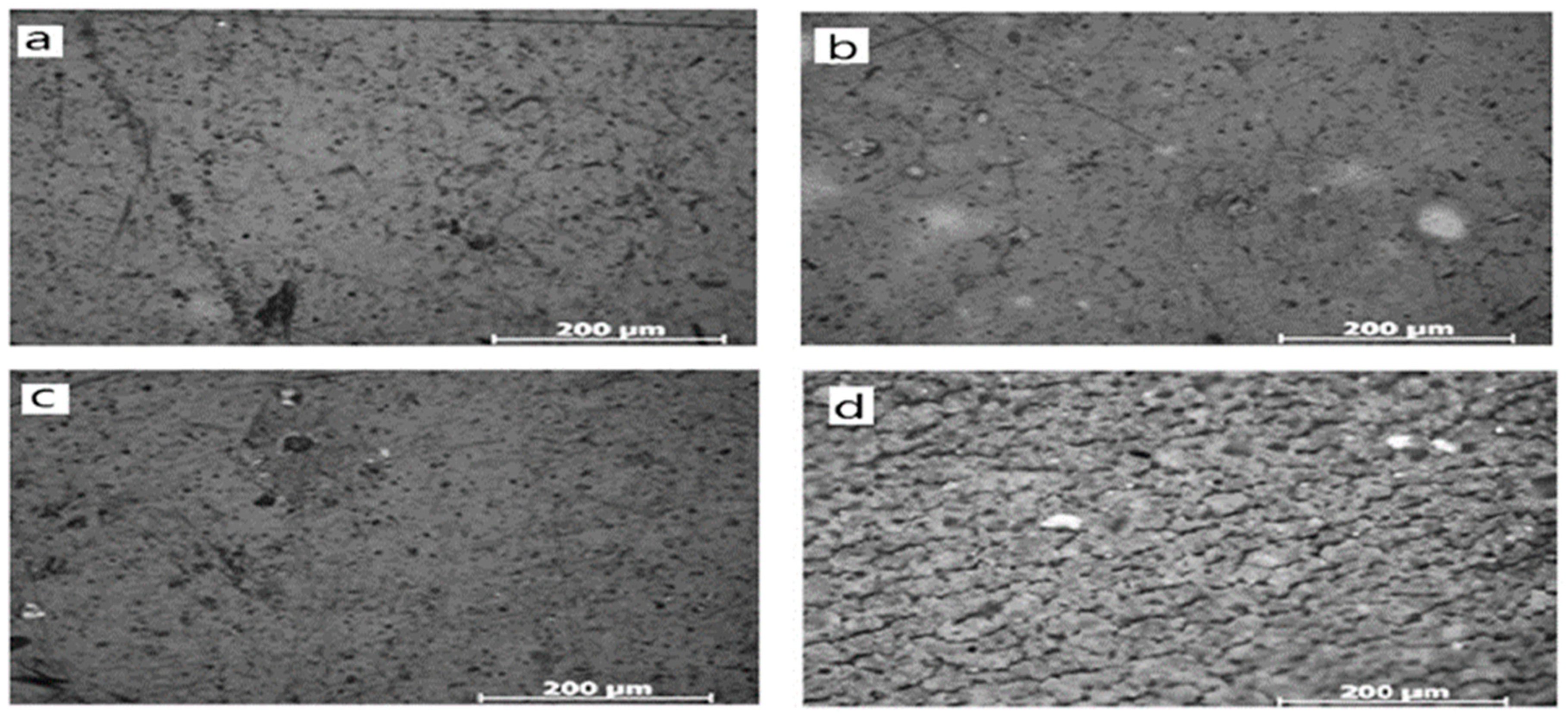 Materials 16 06689 g004