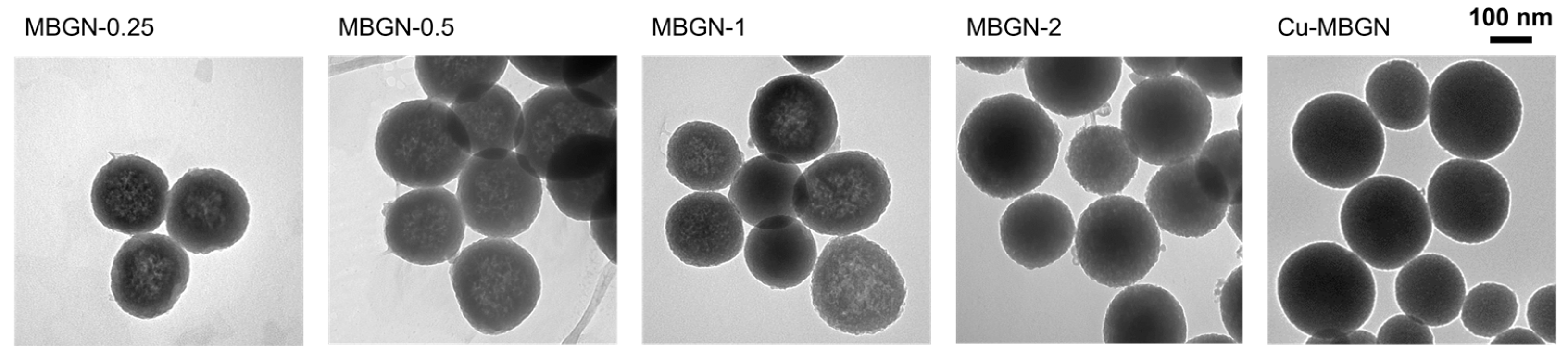 Materials 16 06690 g001