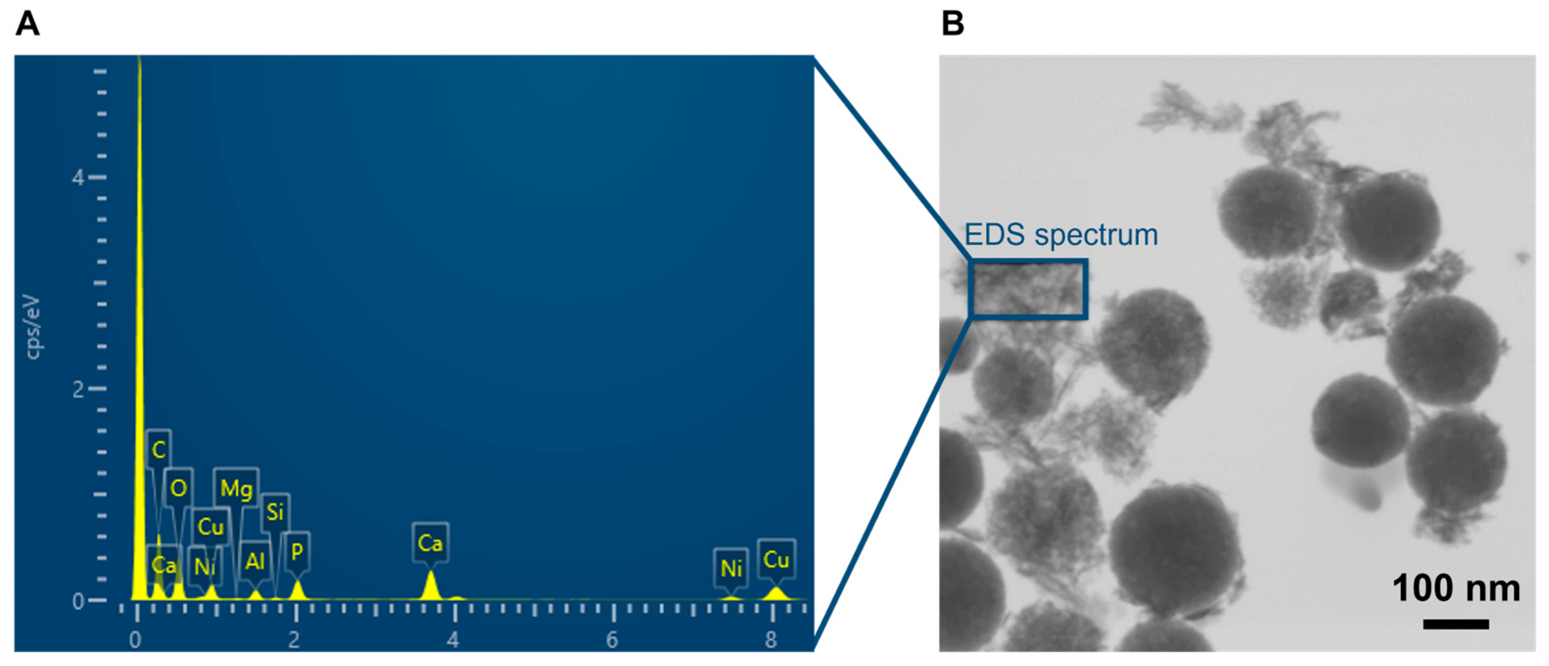 Materials 16 06690 g009