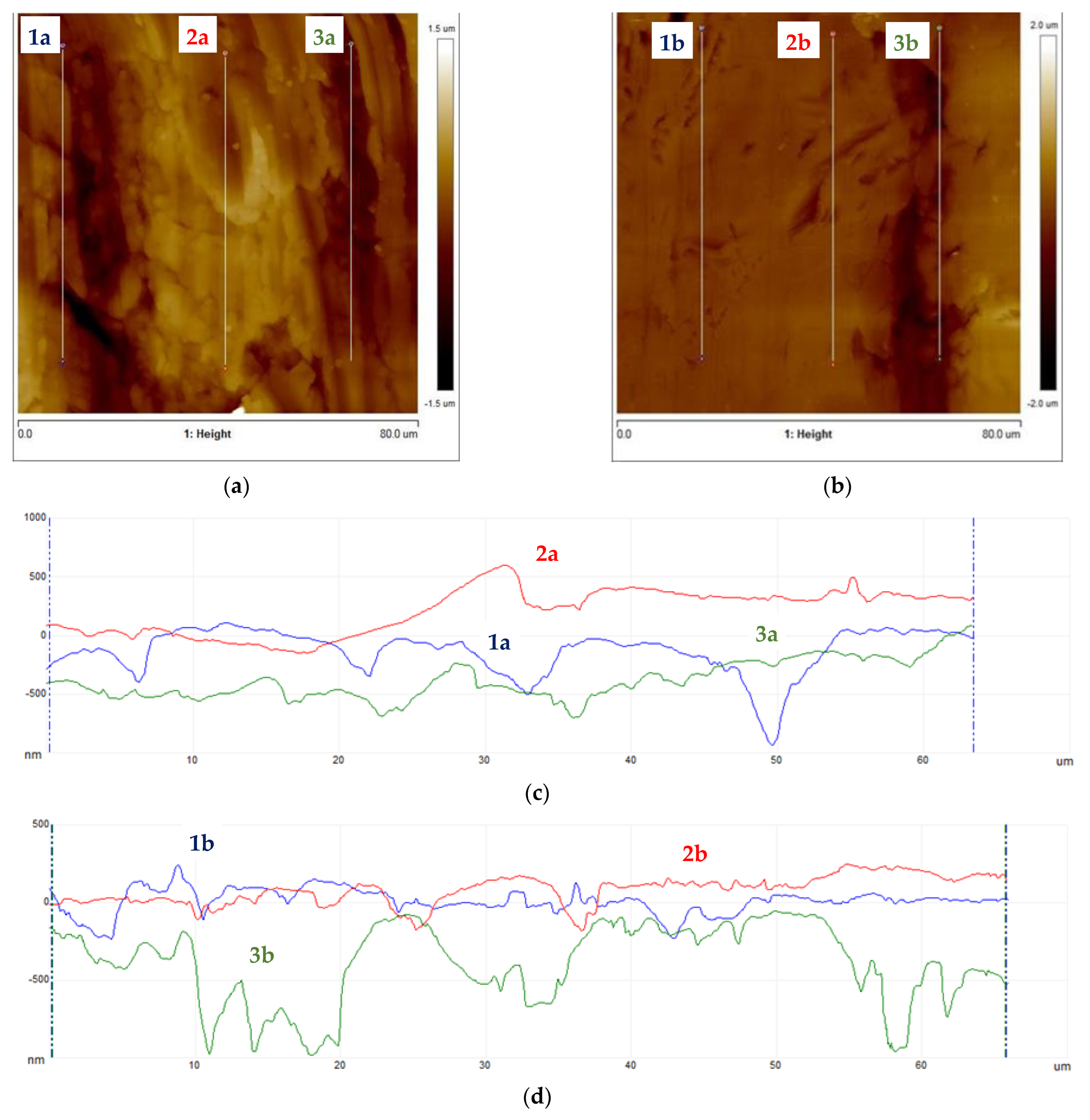 Materials 16 06701 g013