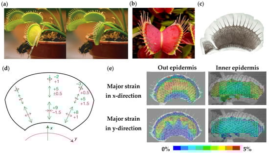 Materials 16 06702 g001