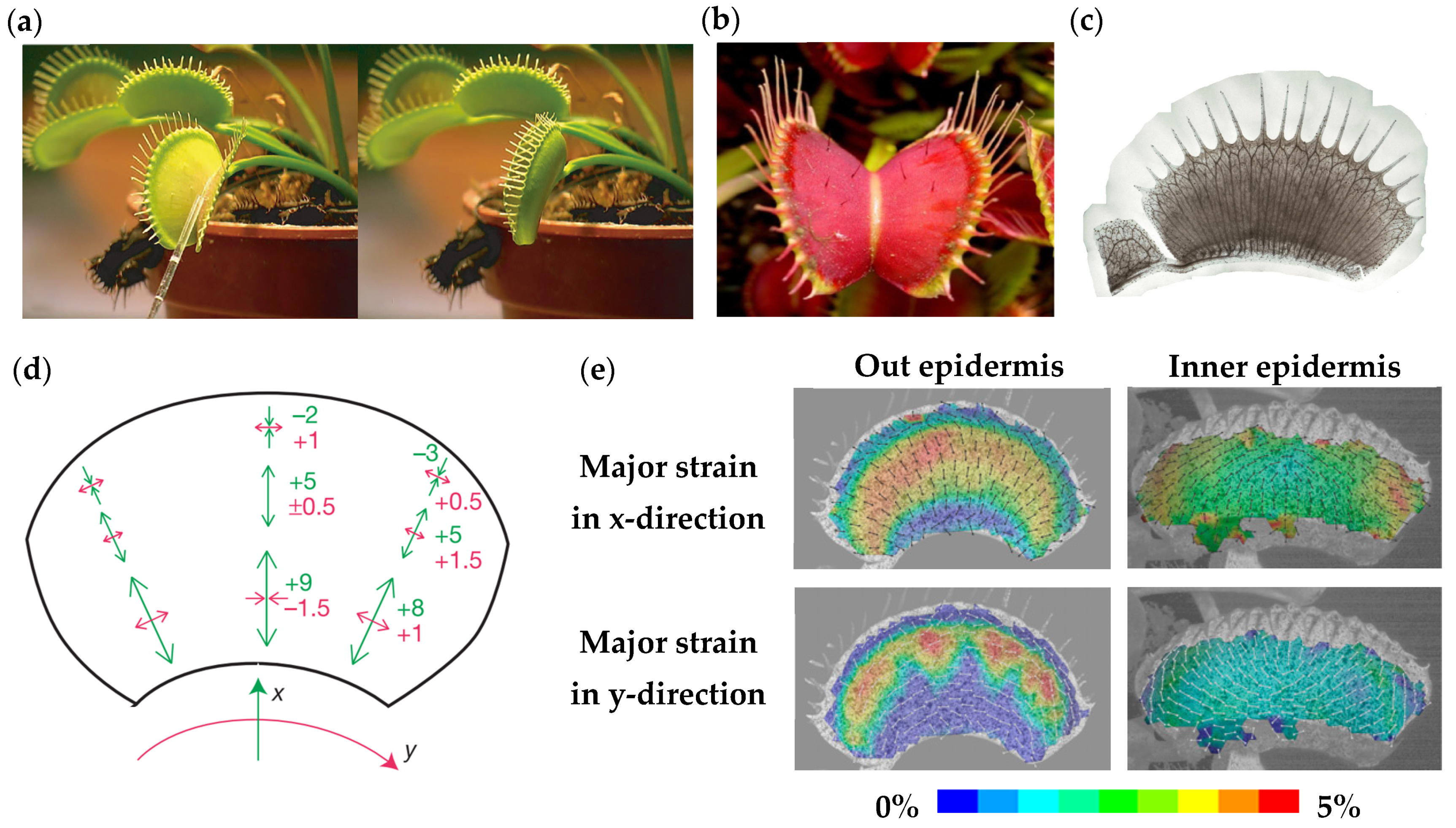 Materials 16 06702 g001
