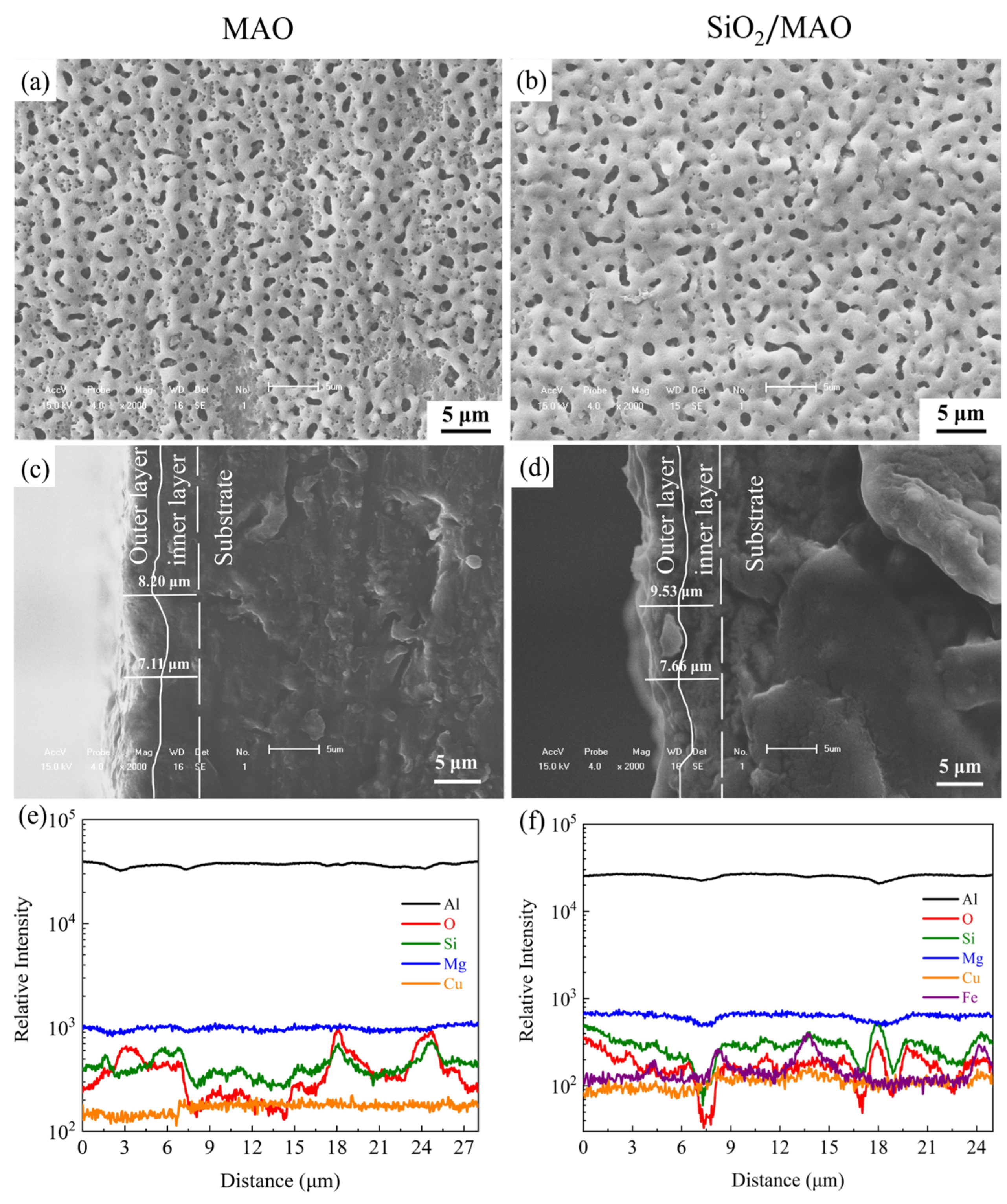 Materials 16 06721 g003