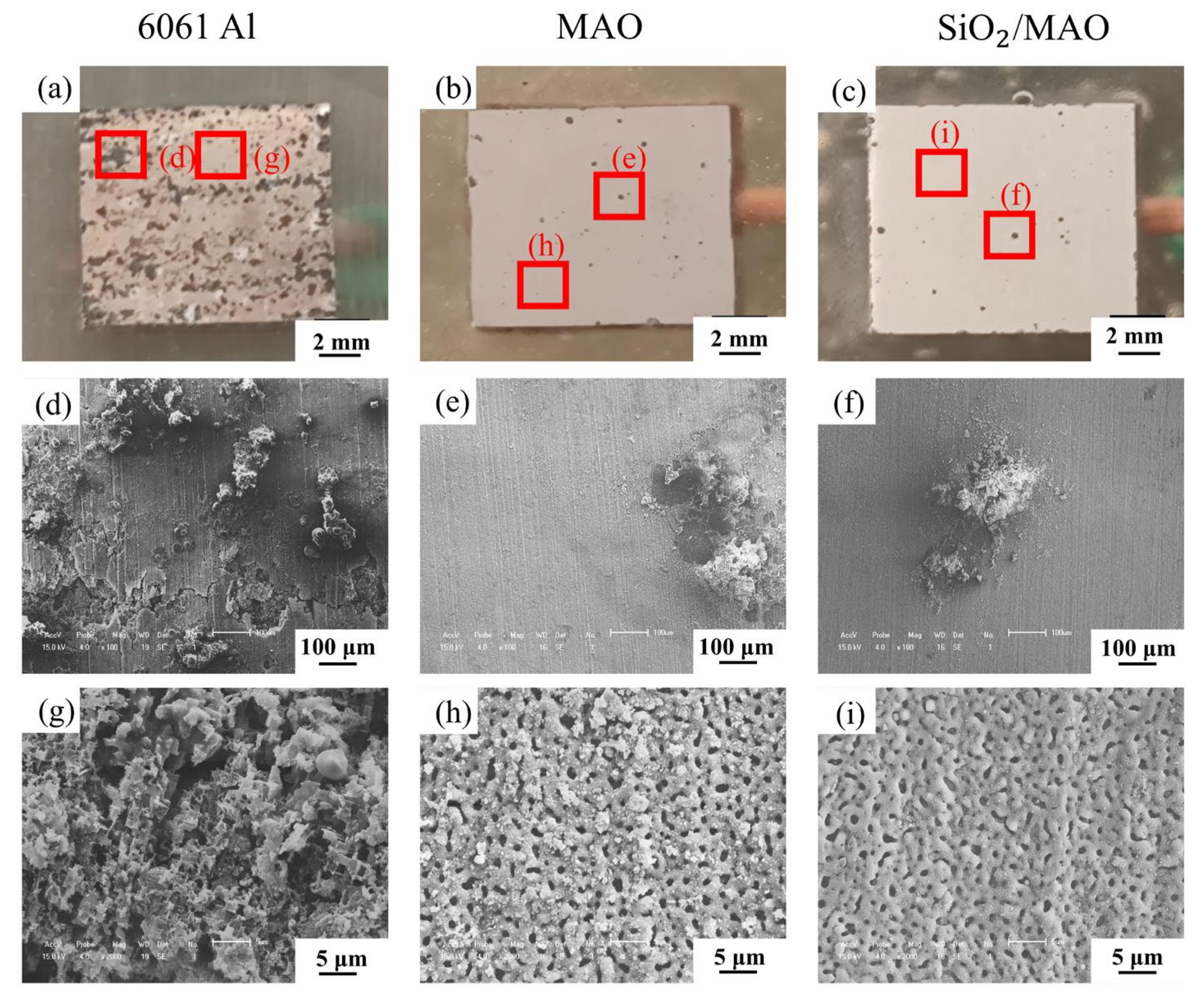 Materials 16 06721 g010