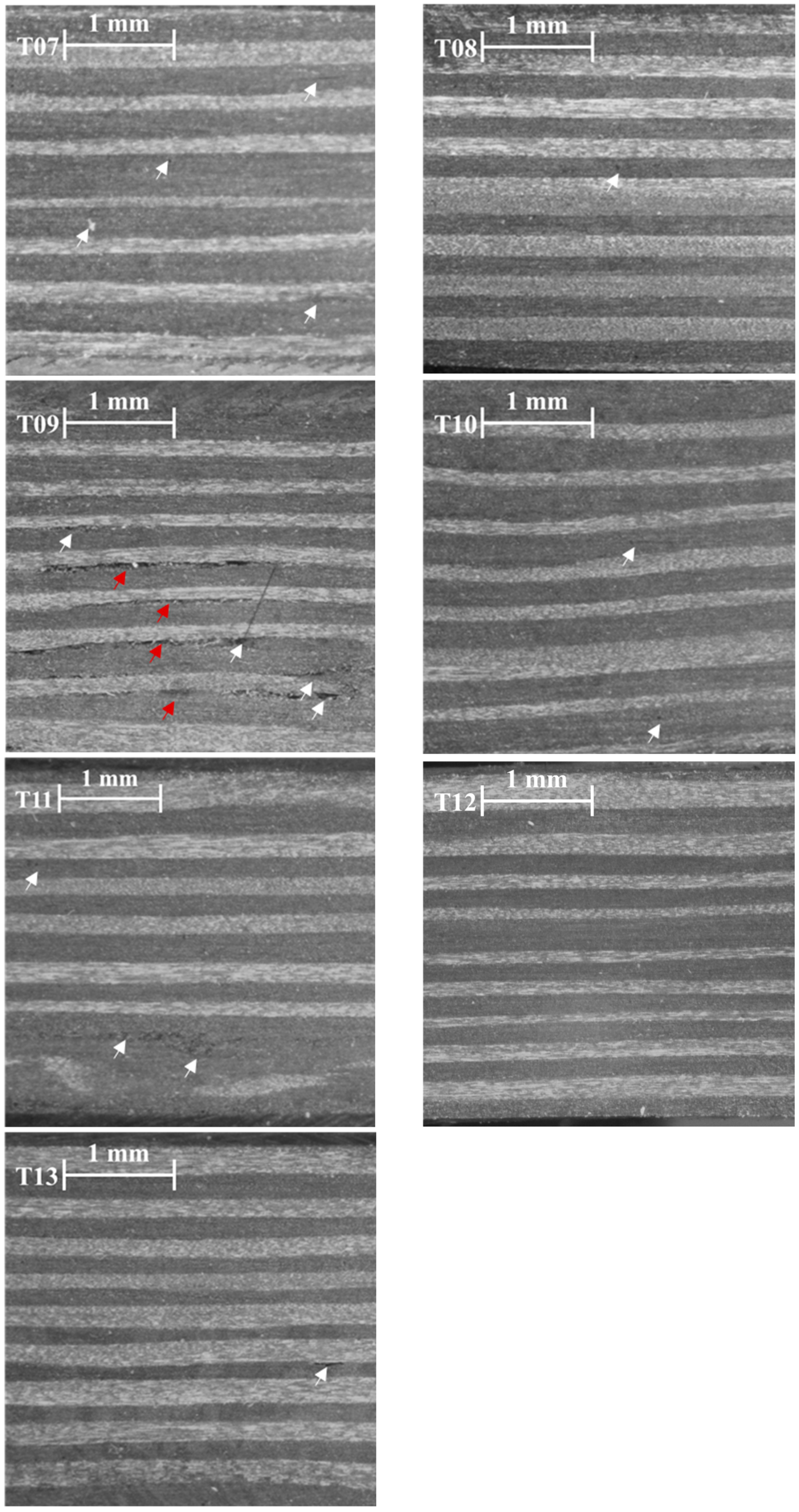 Materials 16 06723 g007b