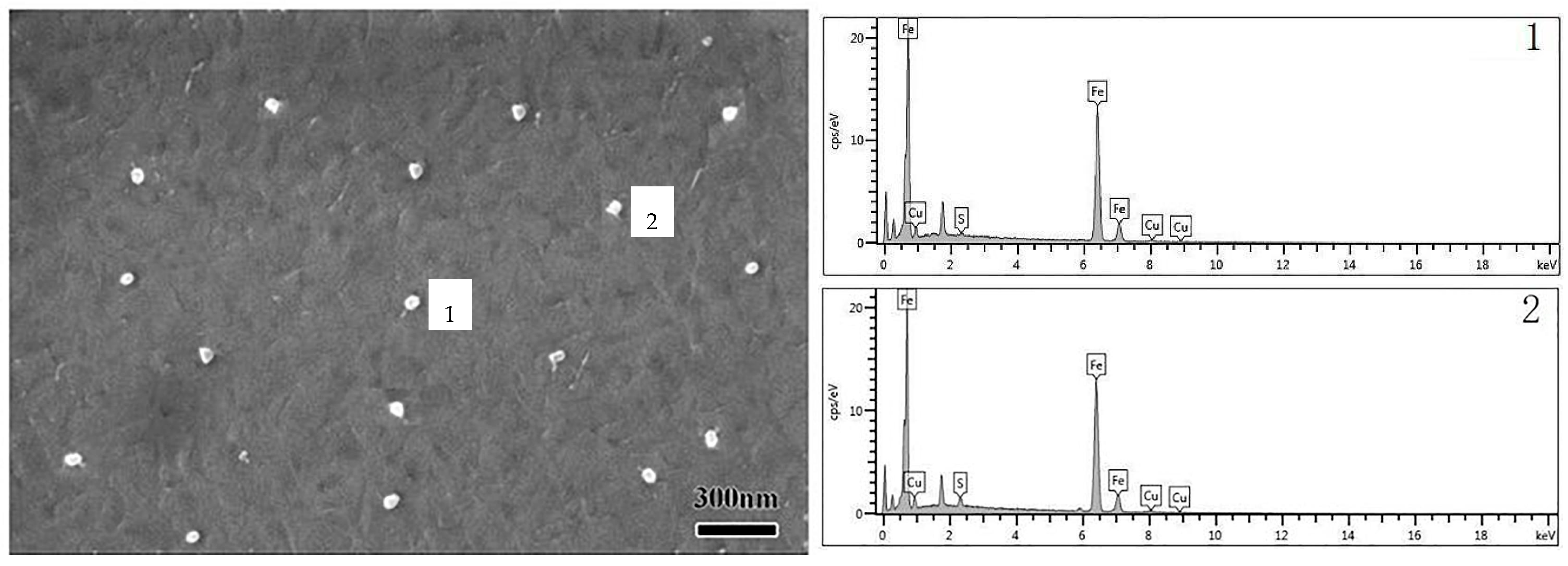 Materials 16 06731 g007