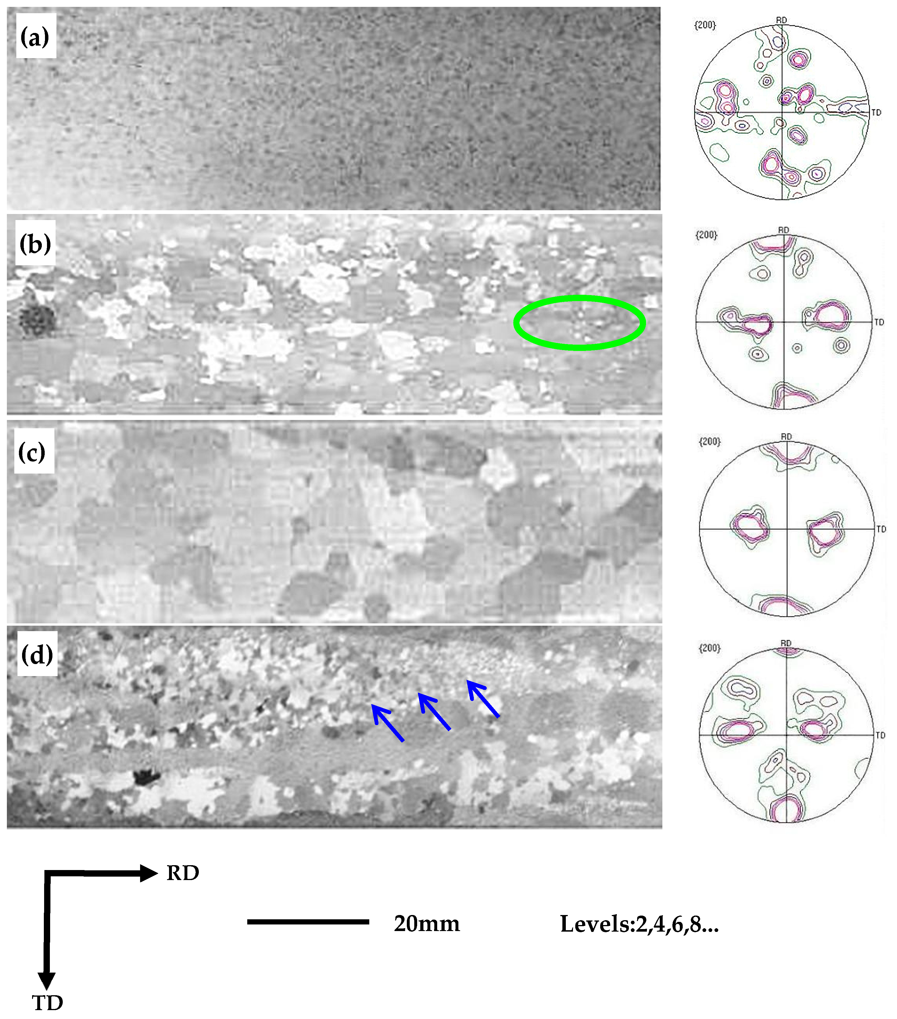 Materials 16 06731 g009