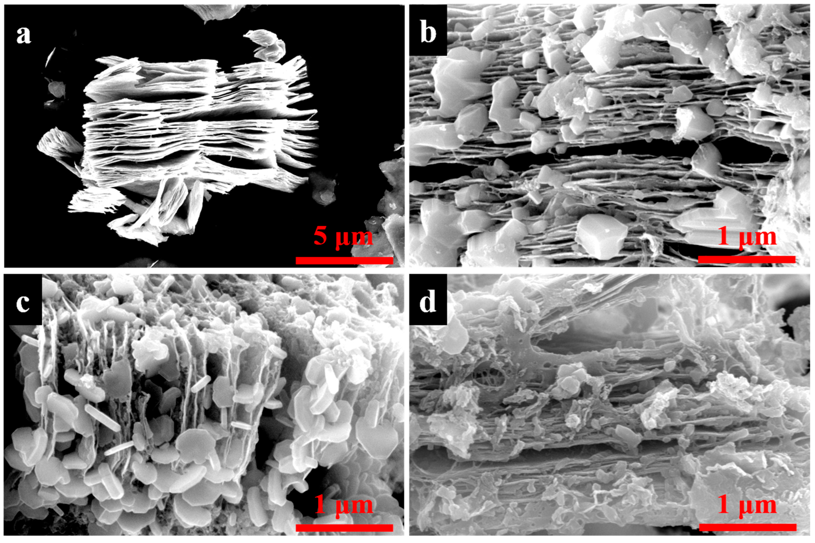 Materials 16 06752 g001 Materials 16 06752 g001