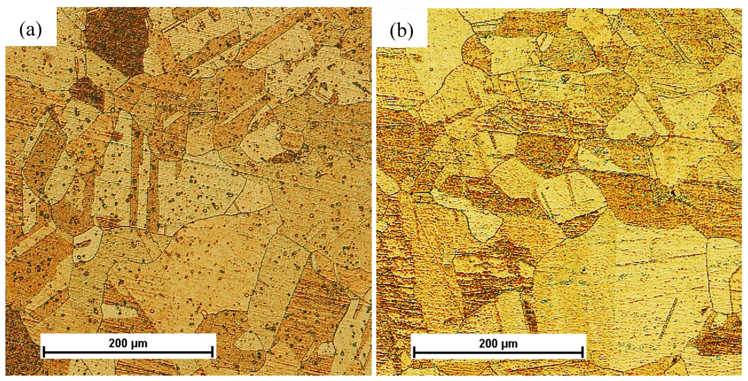 Materials 16 06787 g003