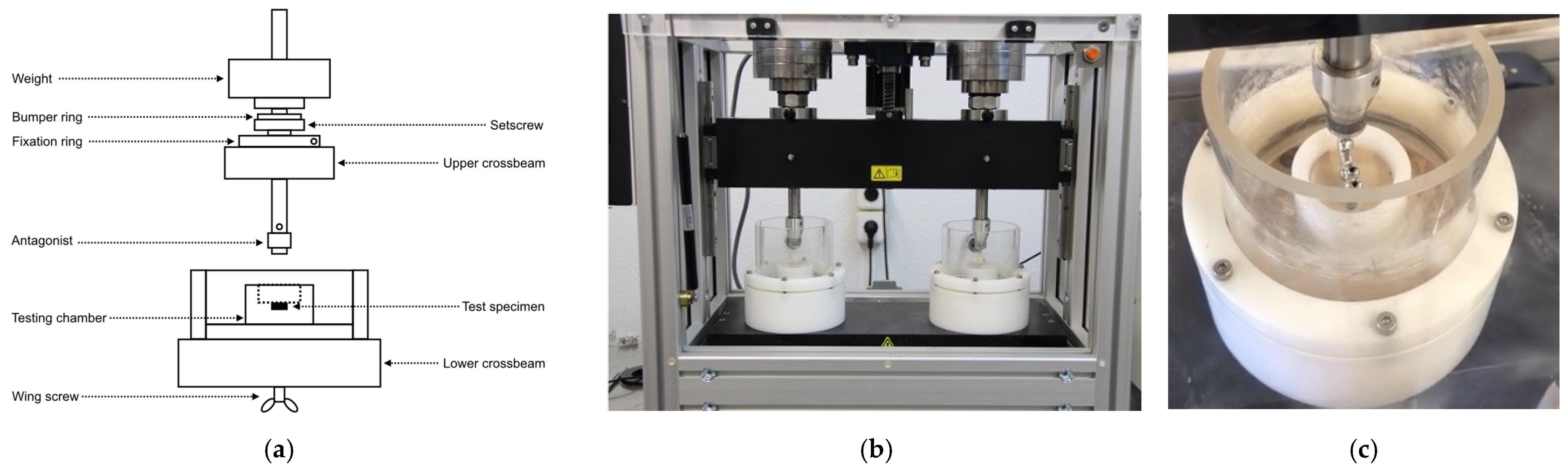Materials 16 06805 g007