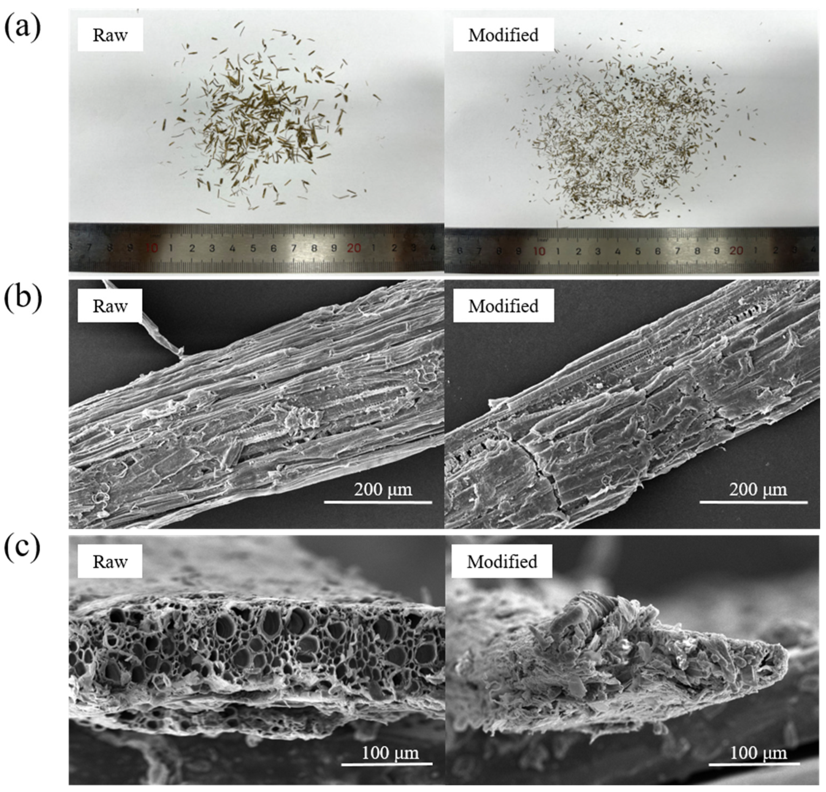 Materials 16 06808 g009