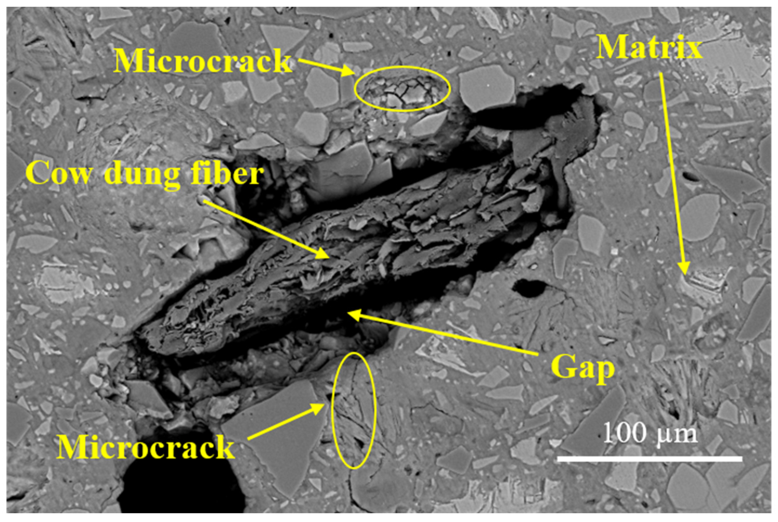 Materials 16 06808 g017