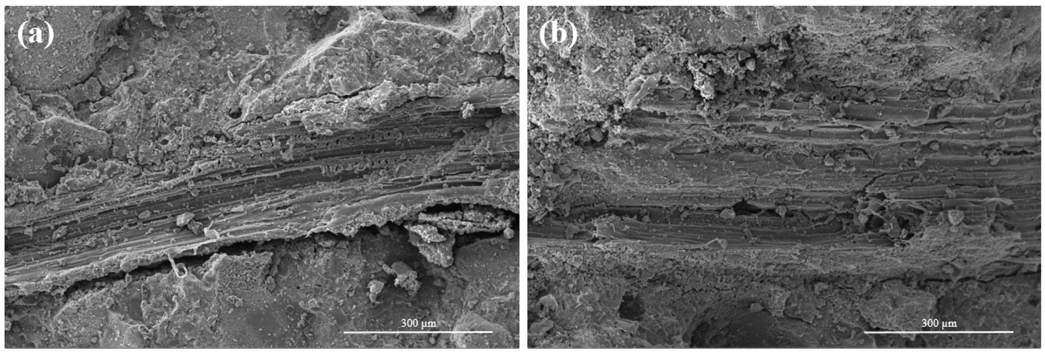 Materials 16 06808 g018