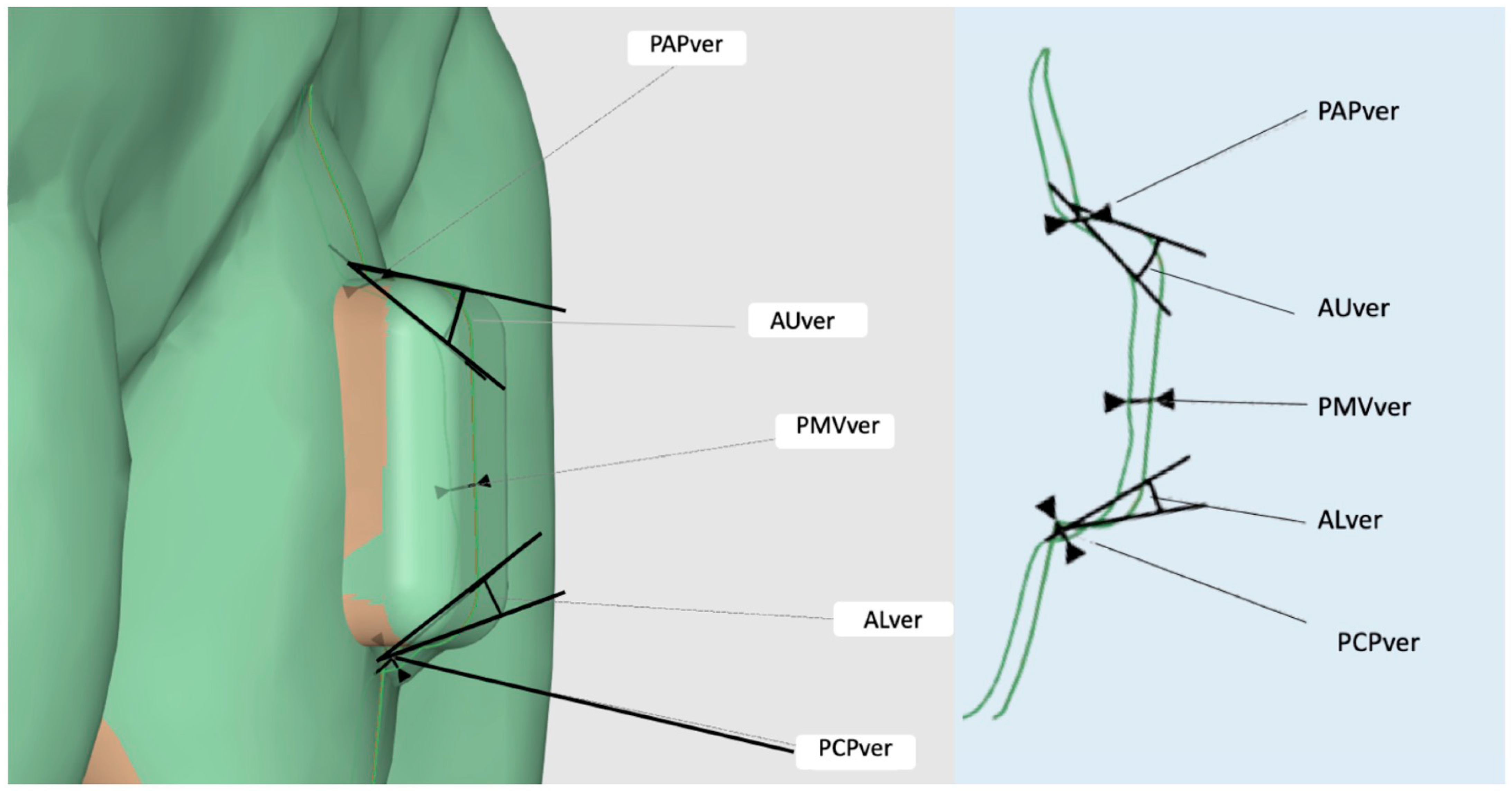 Materials 16 06811 g003 Materials 16 06811 g003