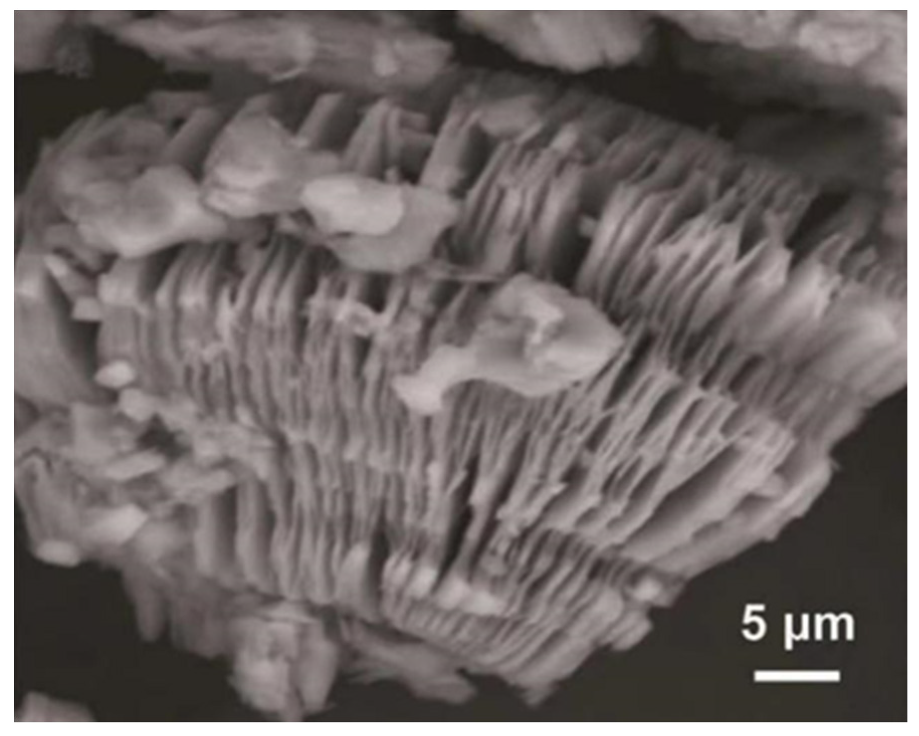 Materials 16 06816 g002