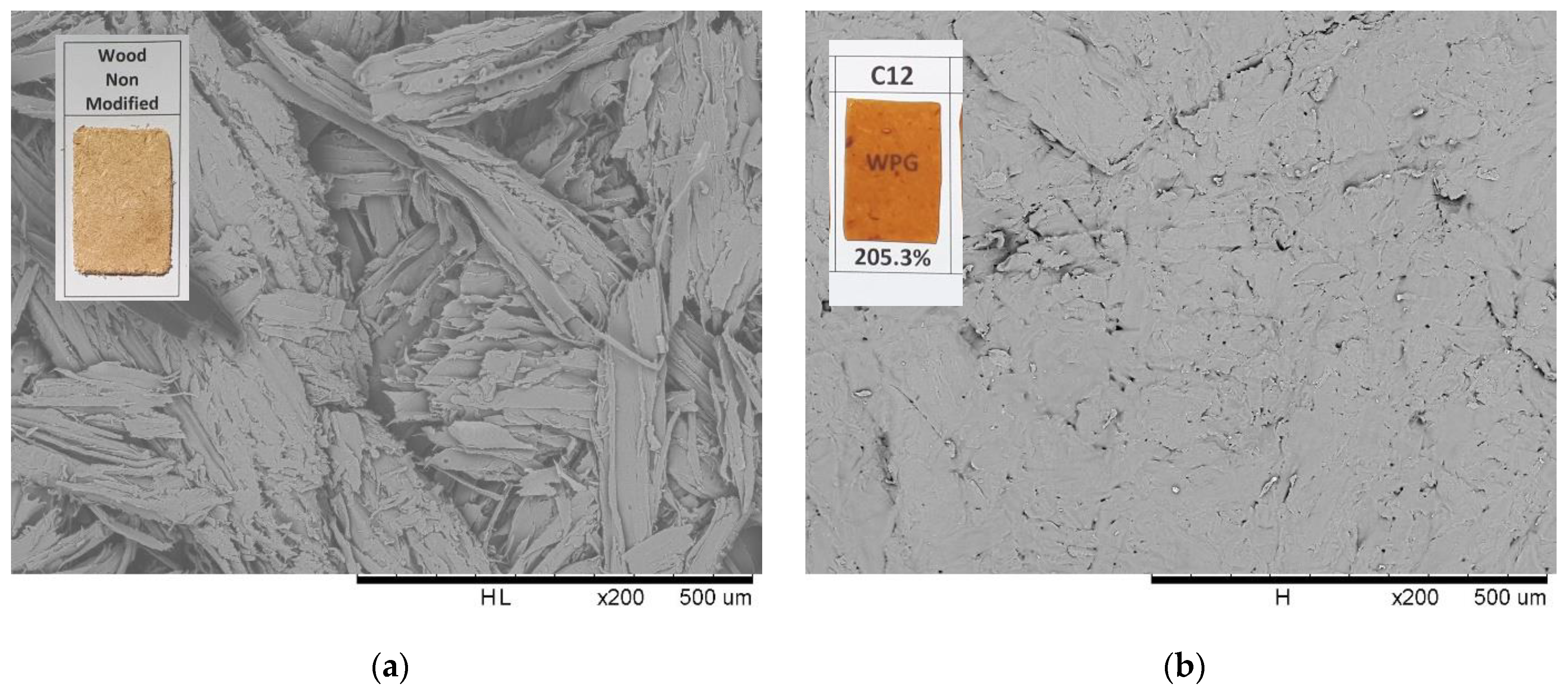 Materials 16 06830 g006