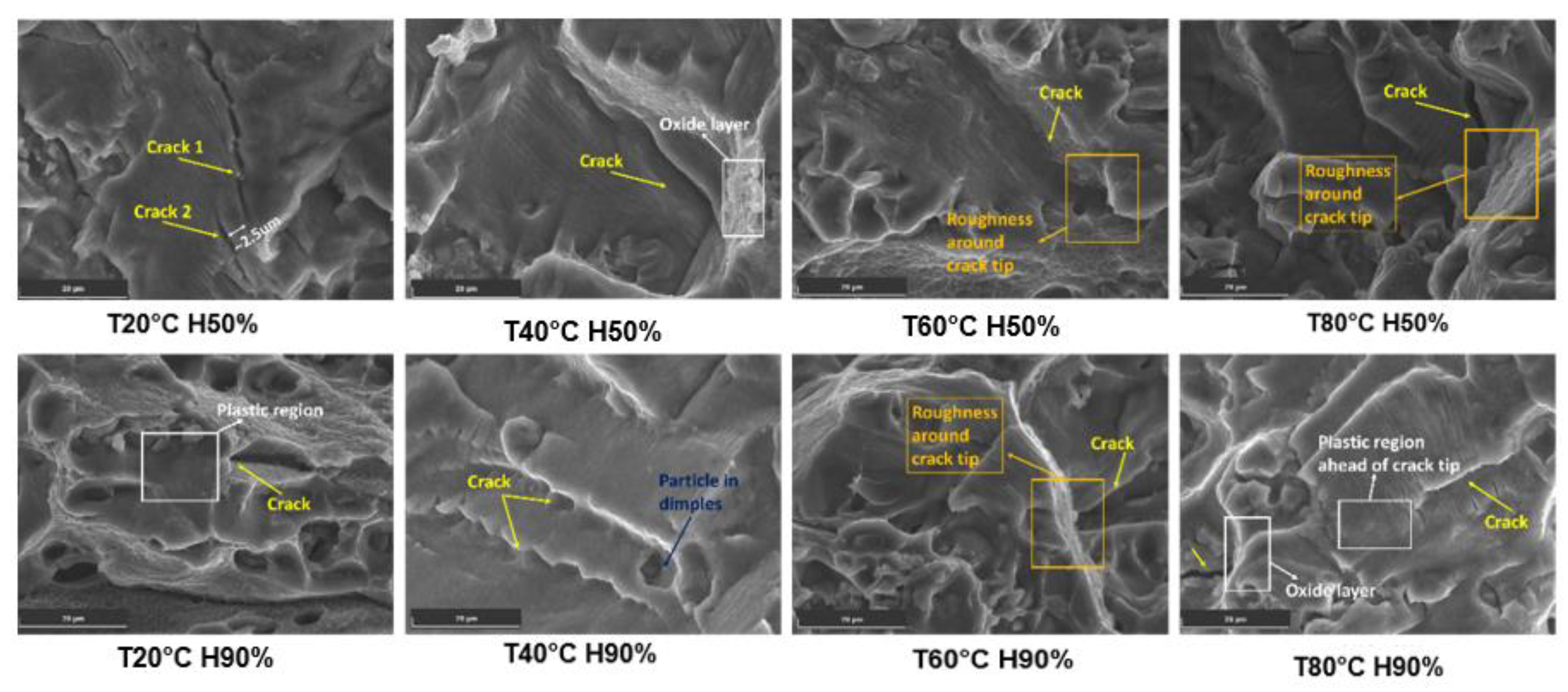 Materials 16 06833 g006